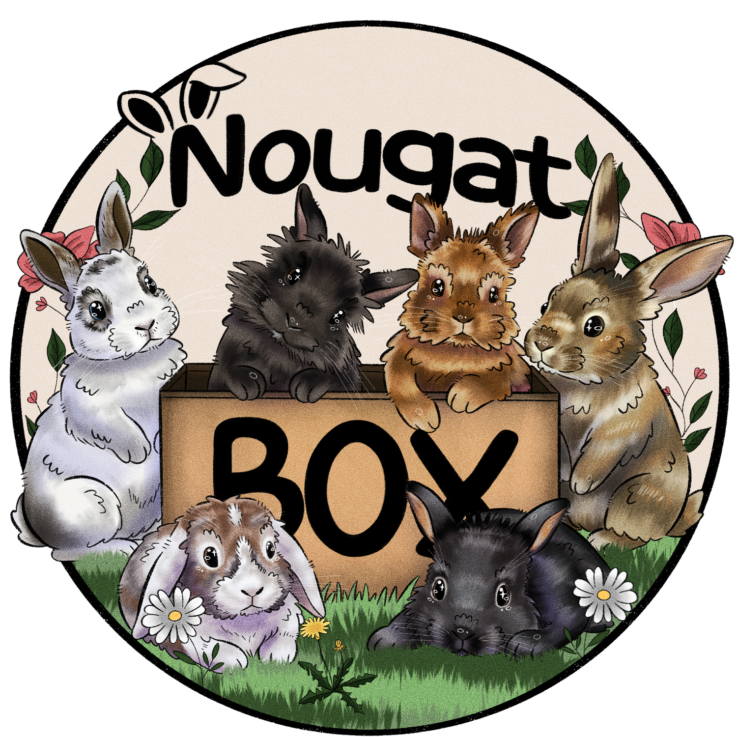 Nougat Box