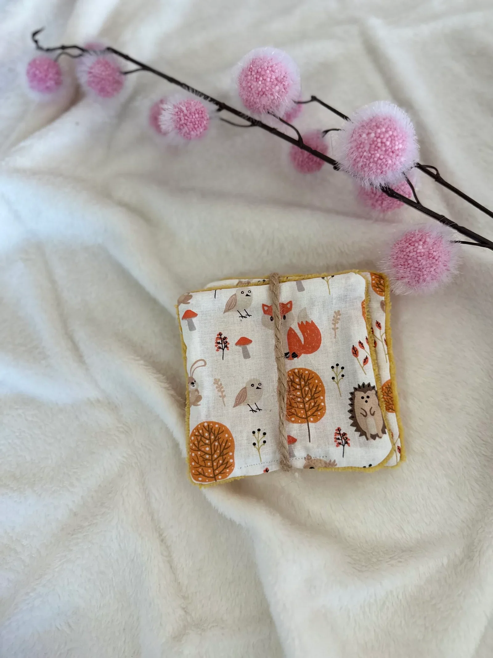 Lingette balade des minis animaux