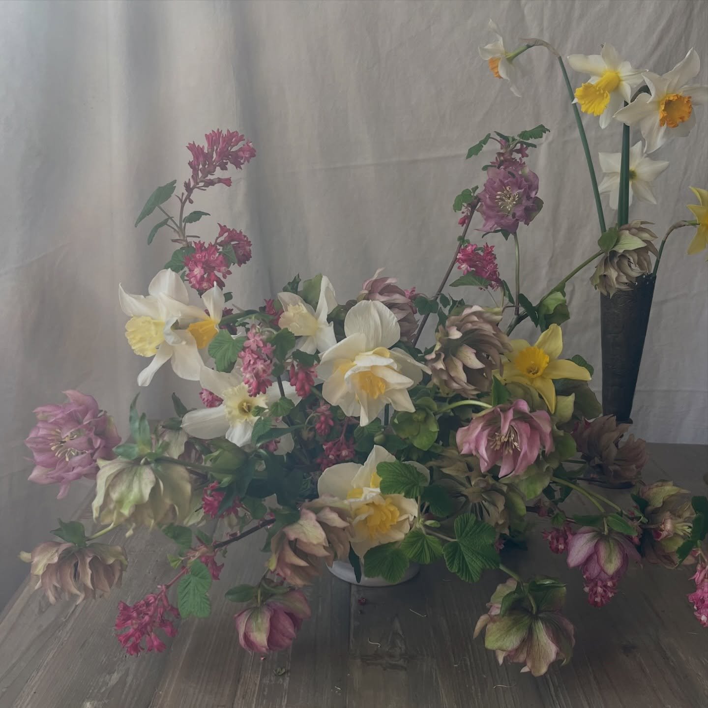 Ribes, daffodils and the last of the hellebores 

Cut from the orchard today and arranged in the soft afternoon light.

Inspired by the seasons, creating flowers for weddings in Dorset and the South West.