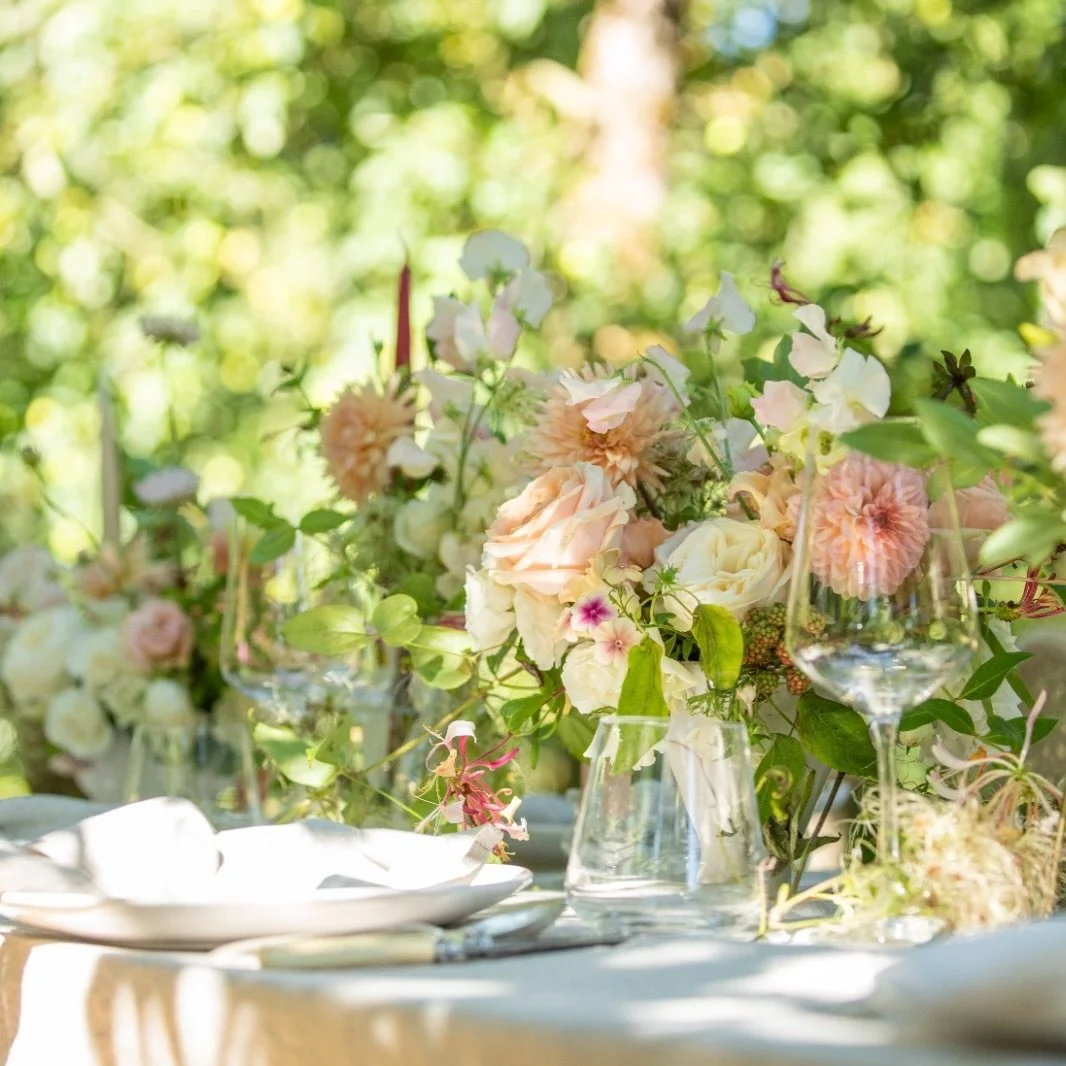 Late summer in the orchard

Soft apricot, blush and cream, with dahlias, roses and the last of the sweet peas, together with trailing wild honeysuckle, old man&rsquo;s beard and blackberries.

I love wedding flowers to look as though they belong wher