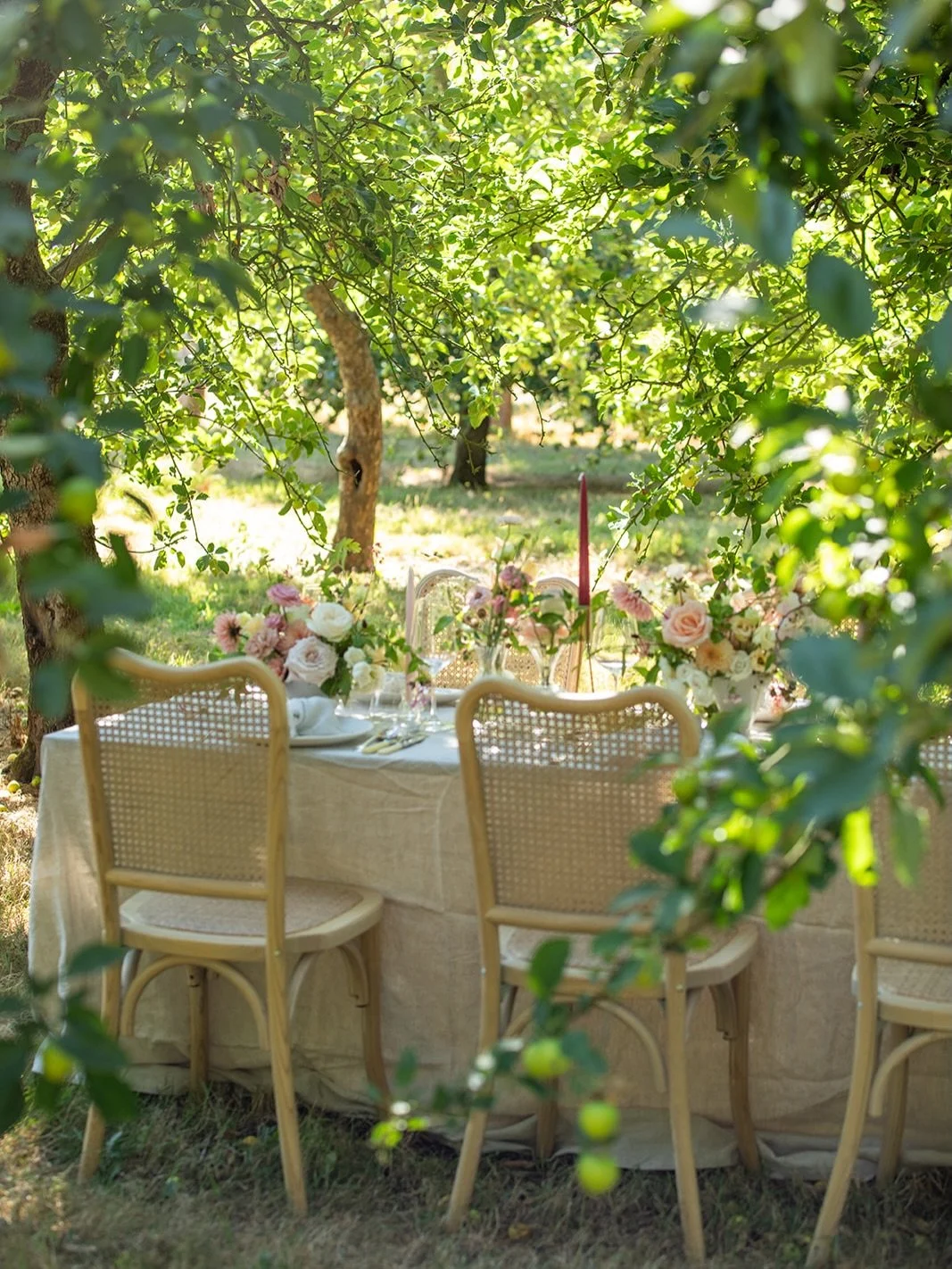 An outdoor wedding is such a beautiful way to celebrate

Long tables beneath the trees, flowers inspired by the surrounding countryside and the pleasure of dining alfresco on a warm summer&rsquo;s day.

I&rsquo;ve written a little blog about the roma