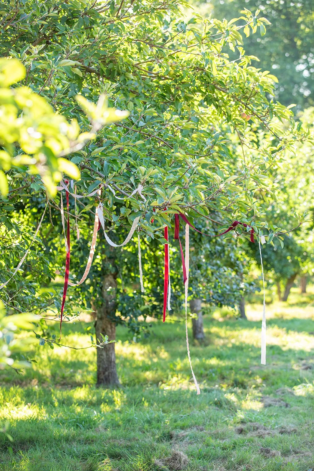 Delicate trailing ribbons adding a romantic finishing touch to seasonal wedding celebrations.