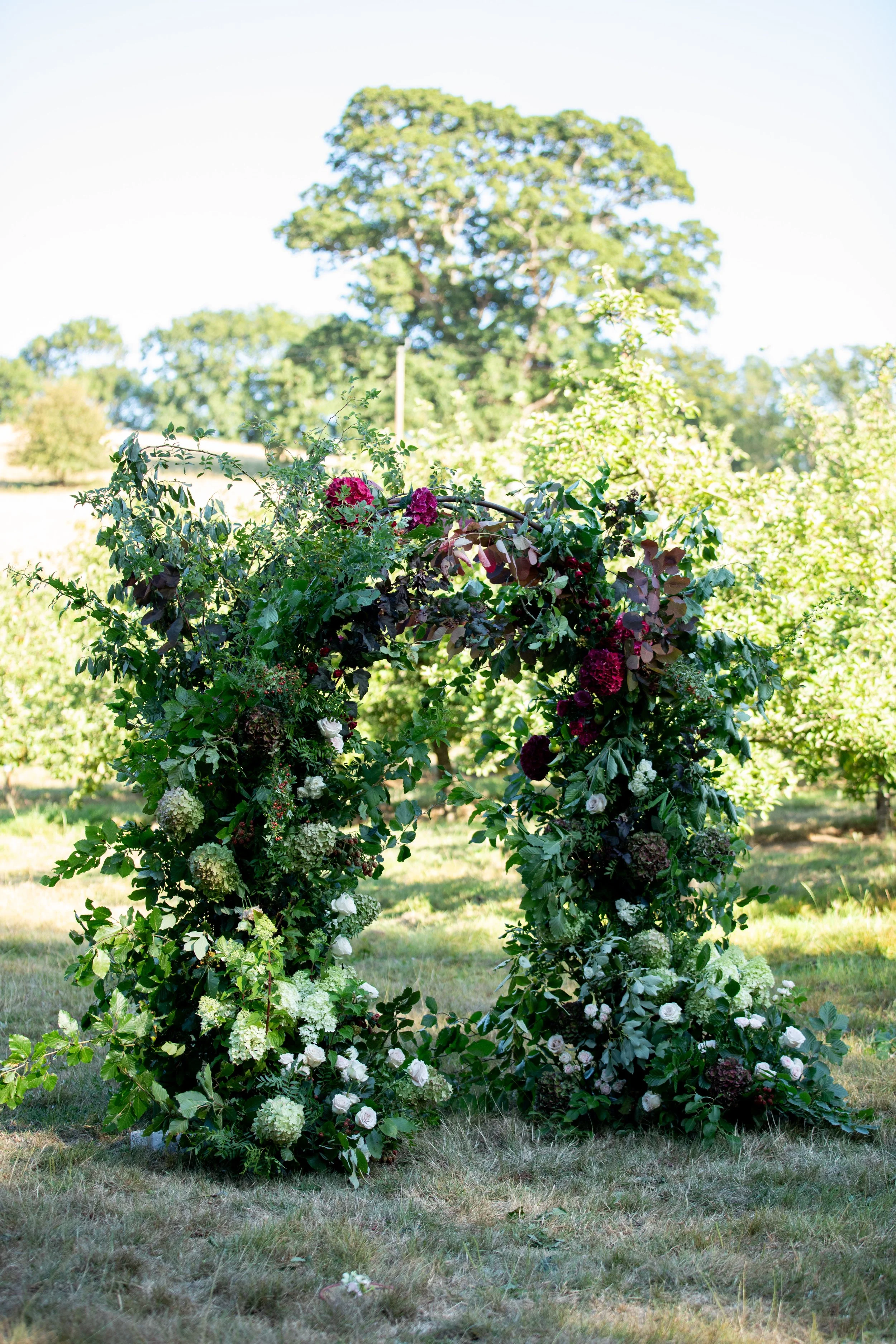 Romantic outdoor wedding floral arch with garden roses, burgundy hydrangeas and trailing foliage in a Dorset orchard.