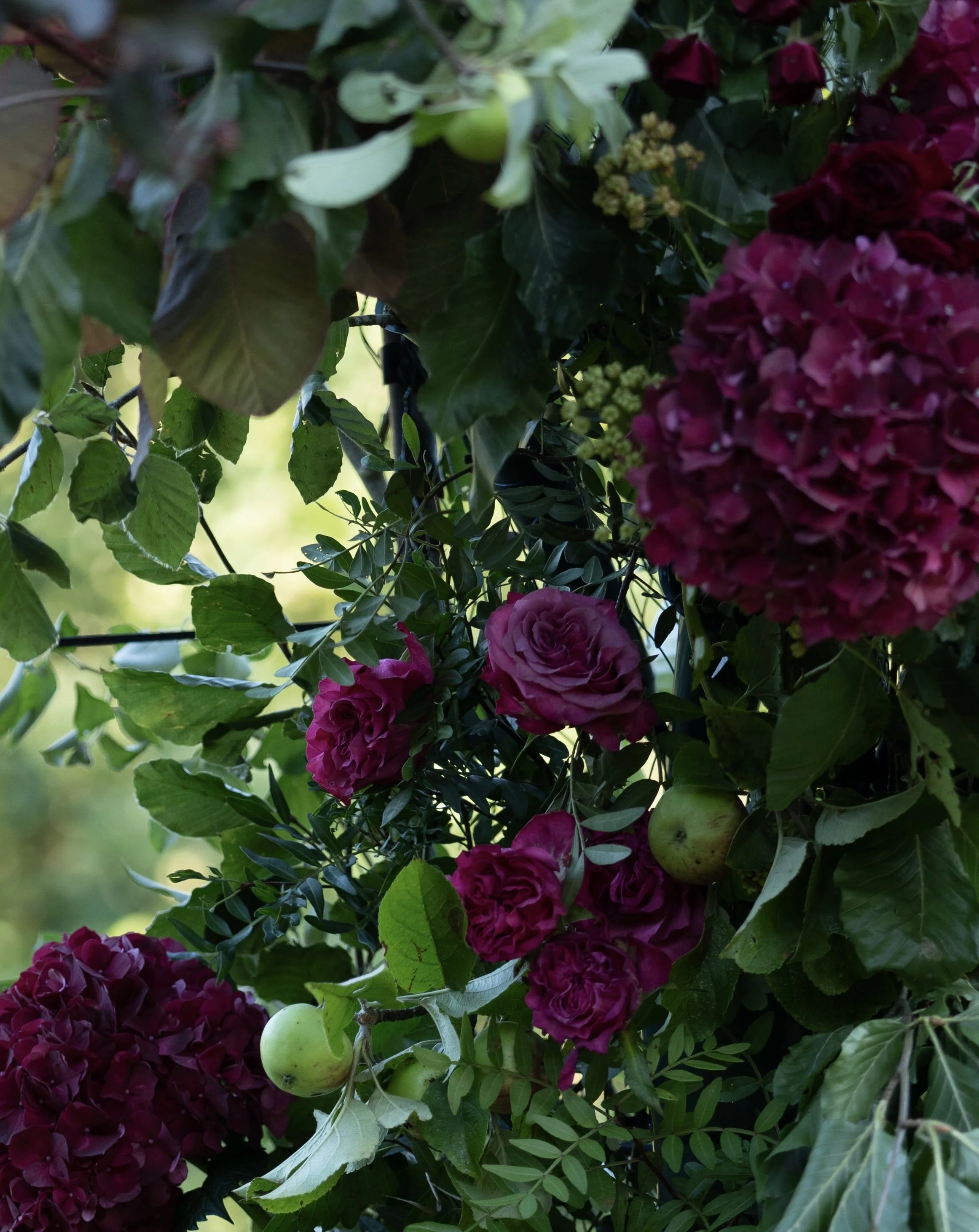 Rich burgundy hydrangeas and apples nestled amongst seasonal foliage in an orchard wedding instilation.