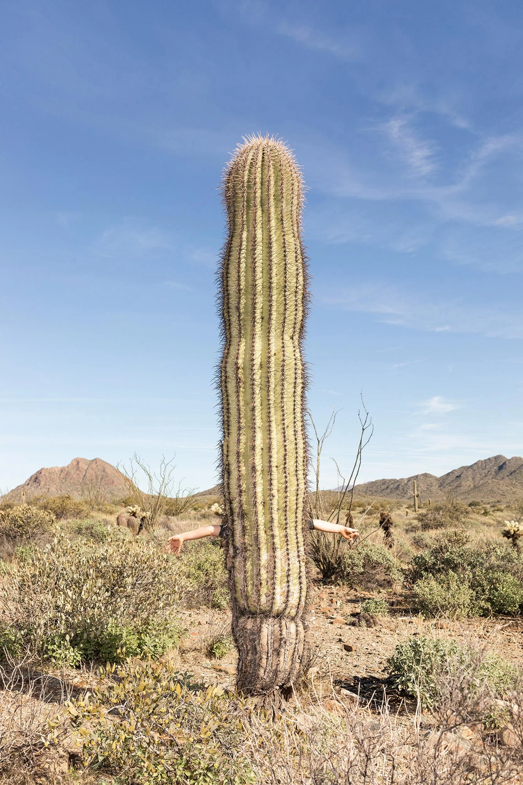Hiding_Spot_Arizona_02.jpg