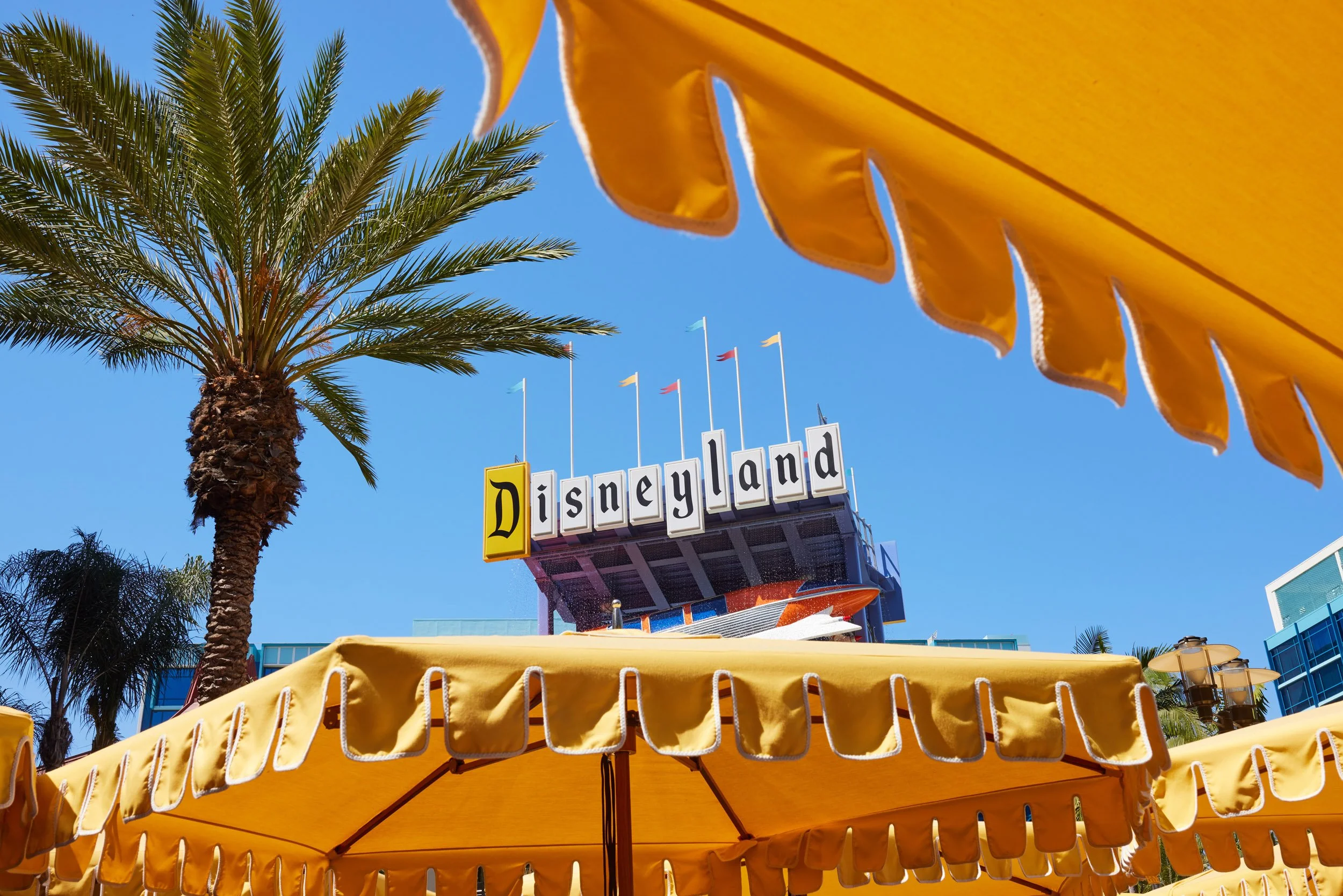 USA_2024_DLAND.jpg