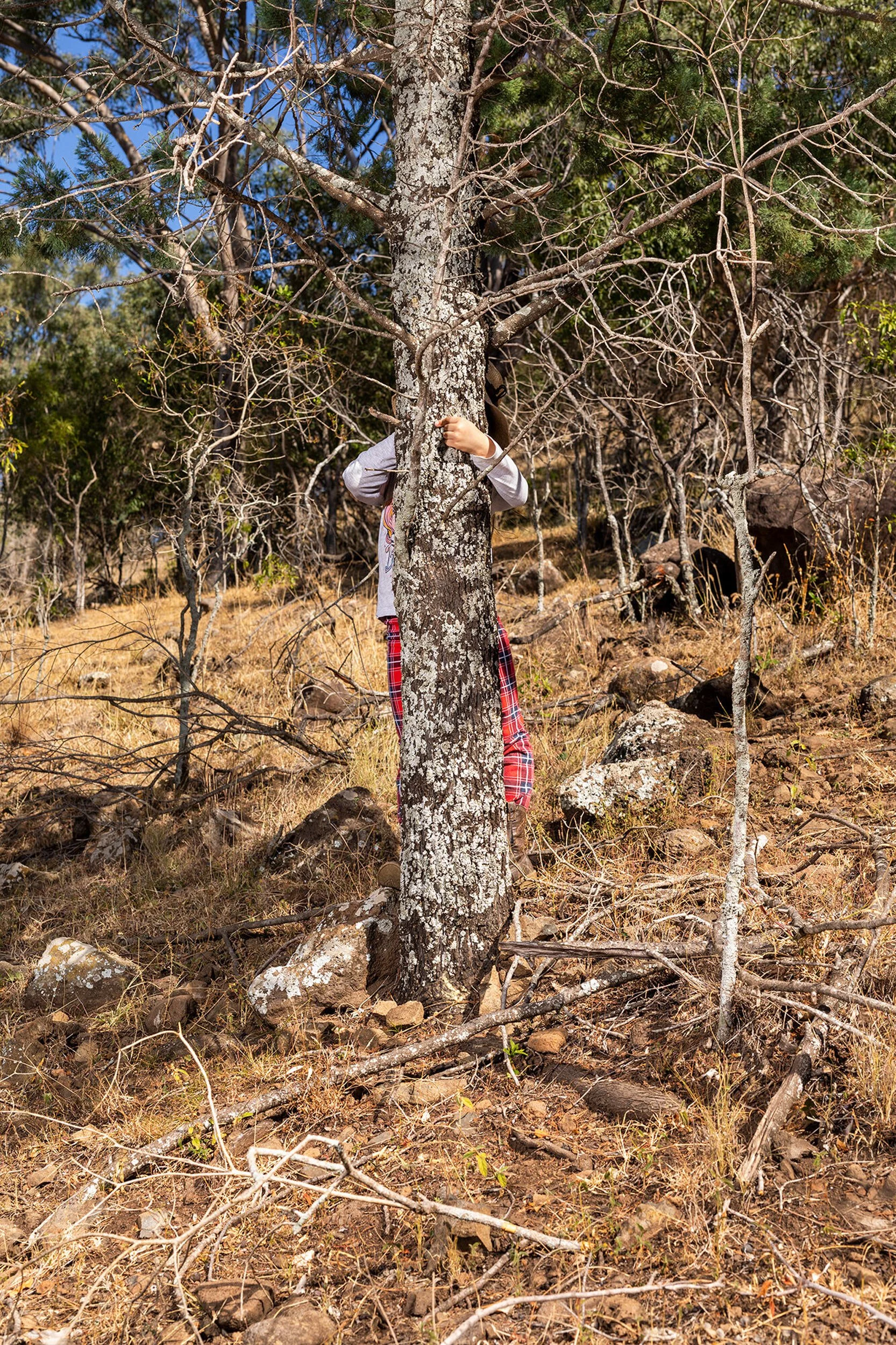 Hiding_Spot_Hill_01.jpg
