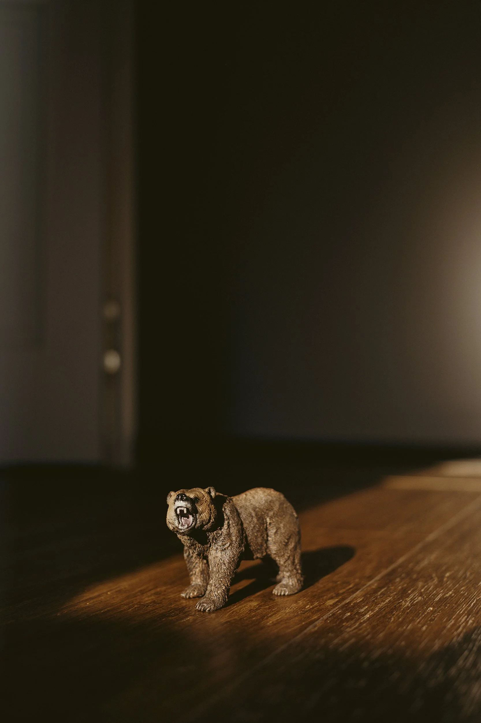 BEAR_01.jpg