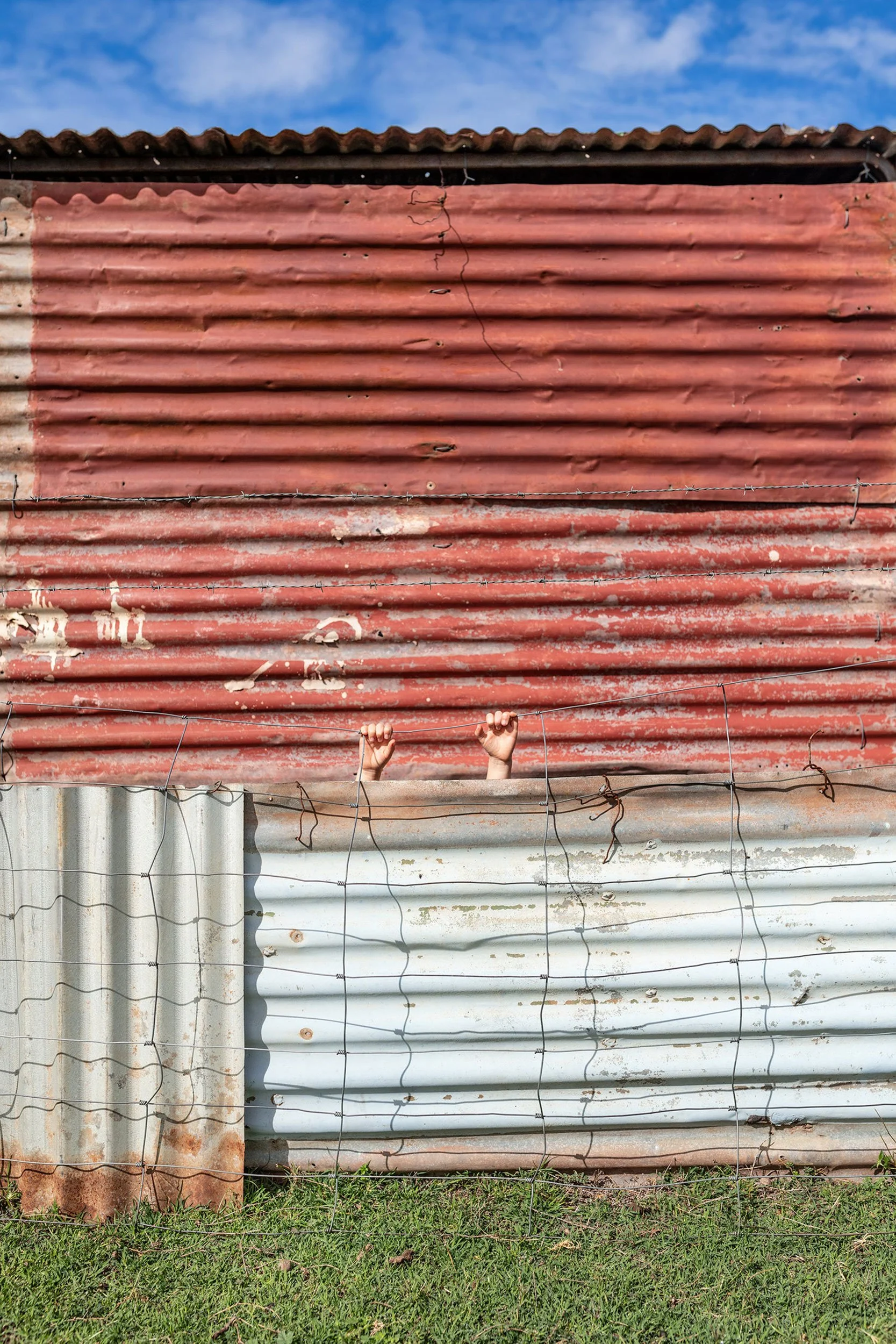 Hiding_Spot_Chicken_Shed.jpg