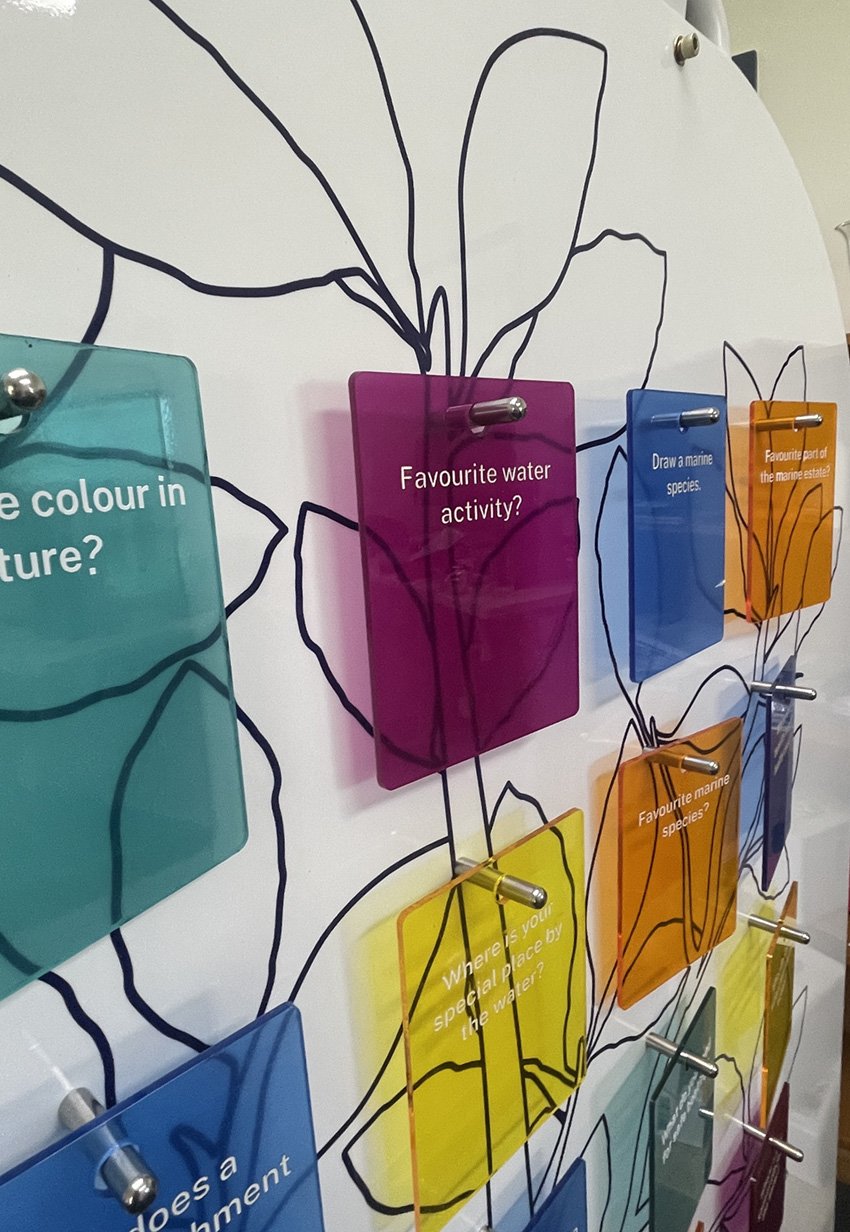 close up of cards on the Freestanding mangrove board with coloured questions on them.