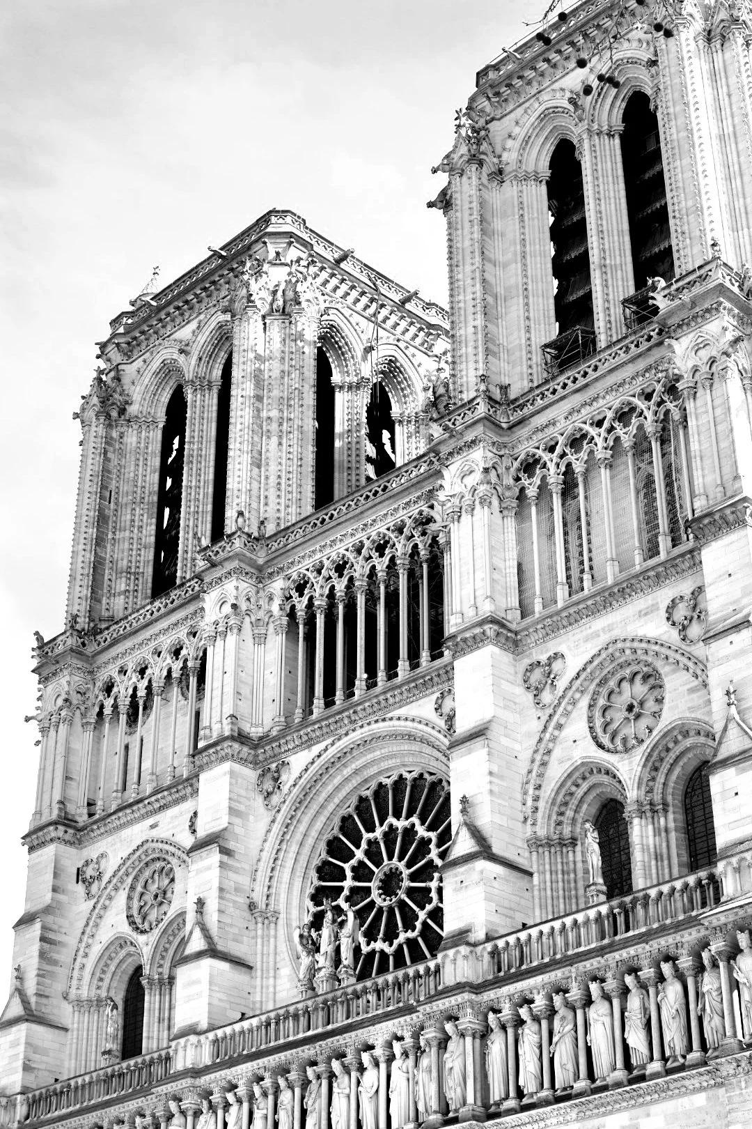 20250309_163928.jpg