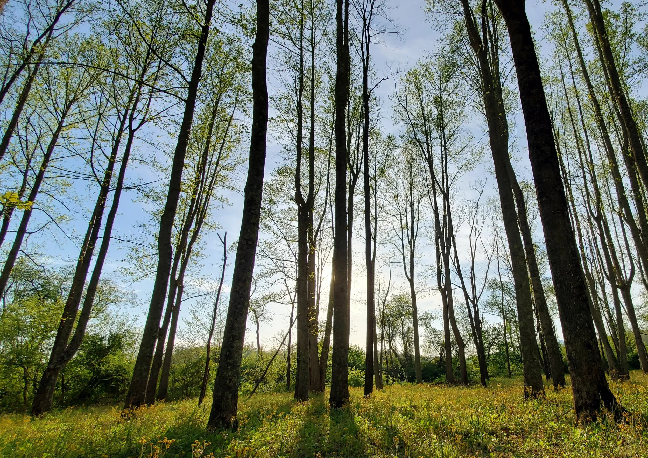 20230420_185042.jpg