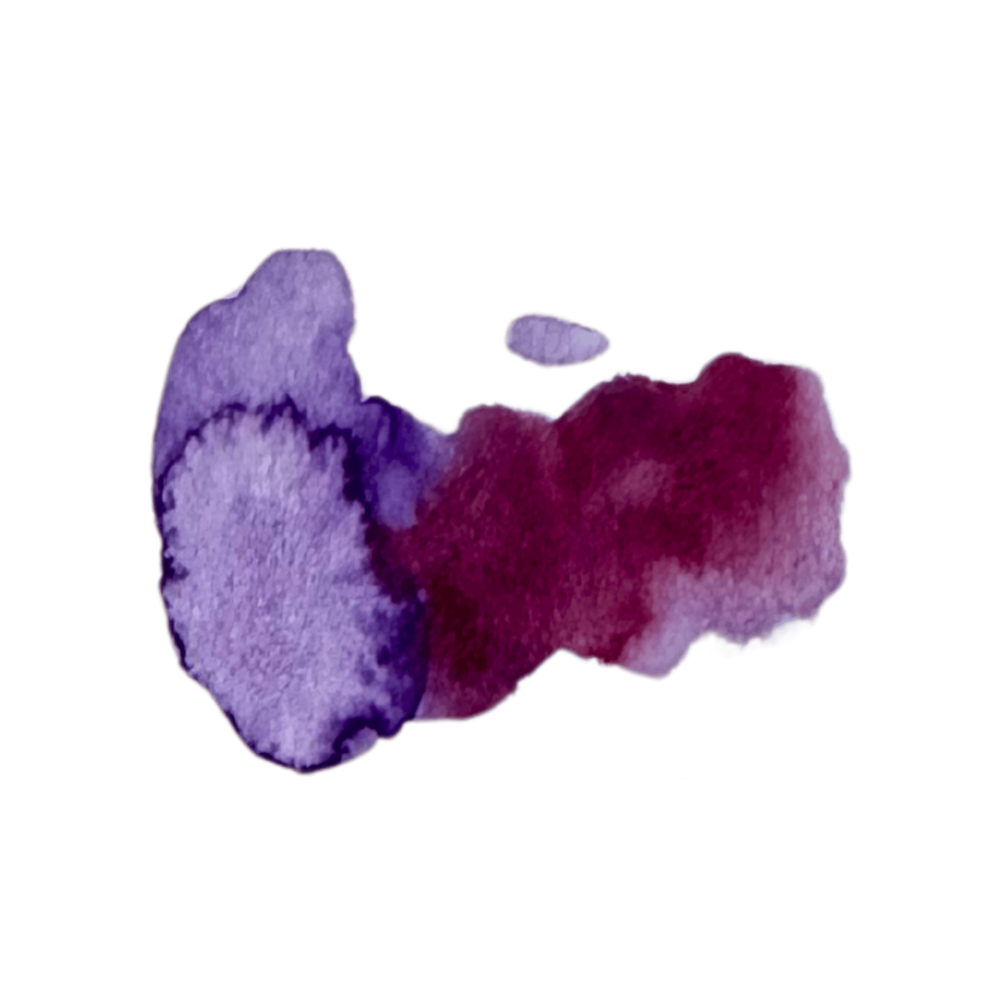 Purple and red flowers in watercolor on a black background