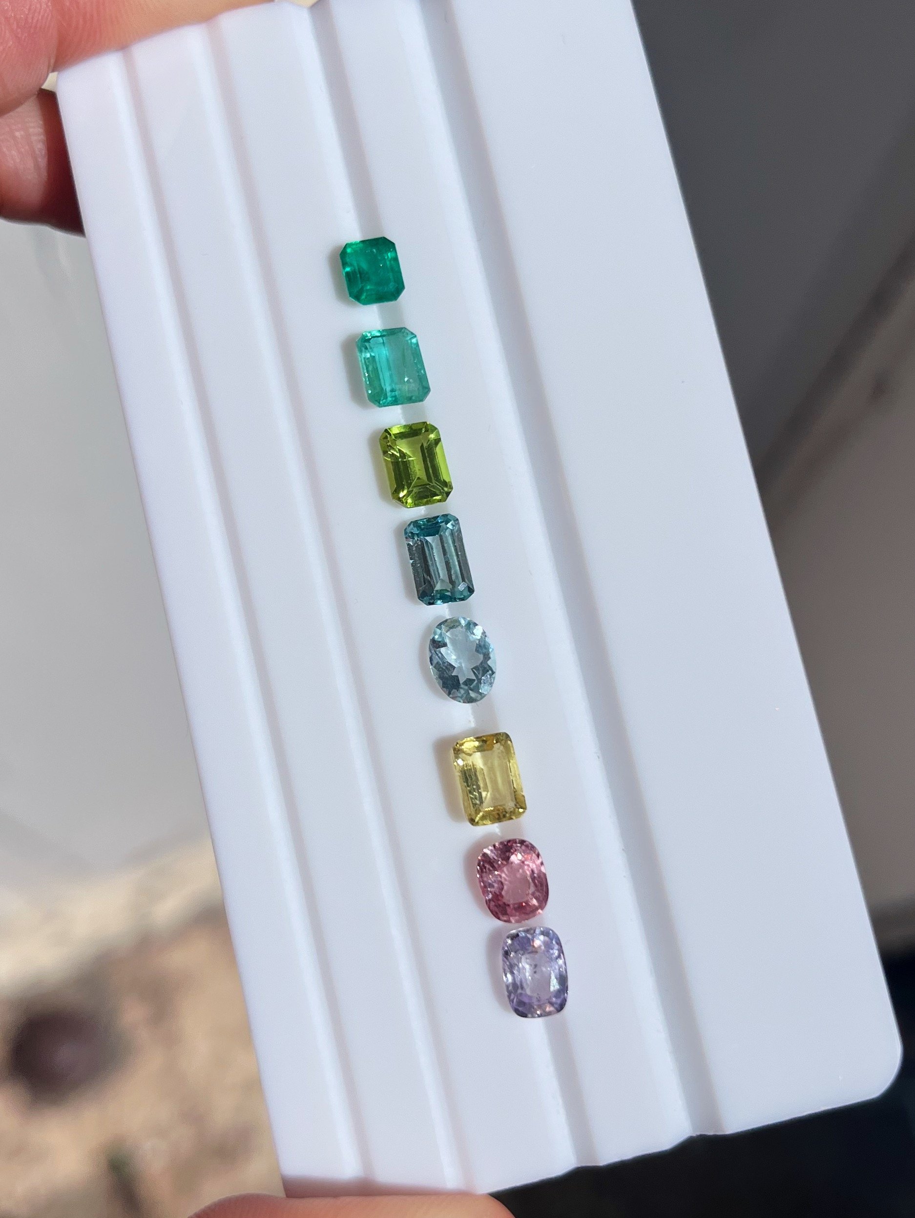 gems-option-medallion.JPG