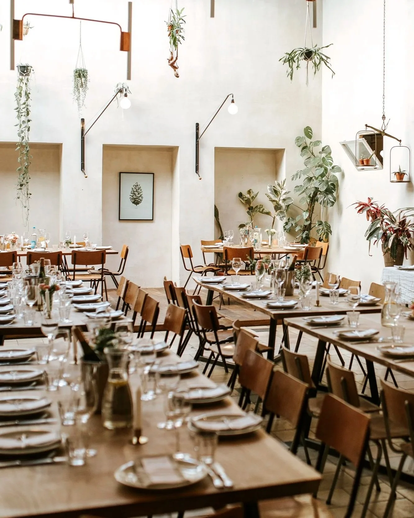 Interior of a decorated event banquet hall with tables set for a meal, featuring wine glasses, plates, and utensils, surrounded by wooden chairs, with green plants and framed botanical artwork on the walls, and modern hanging light fixtures.