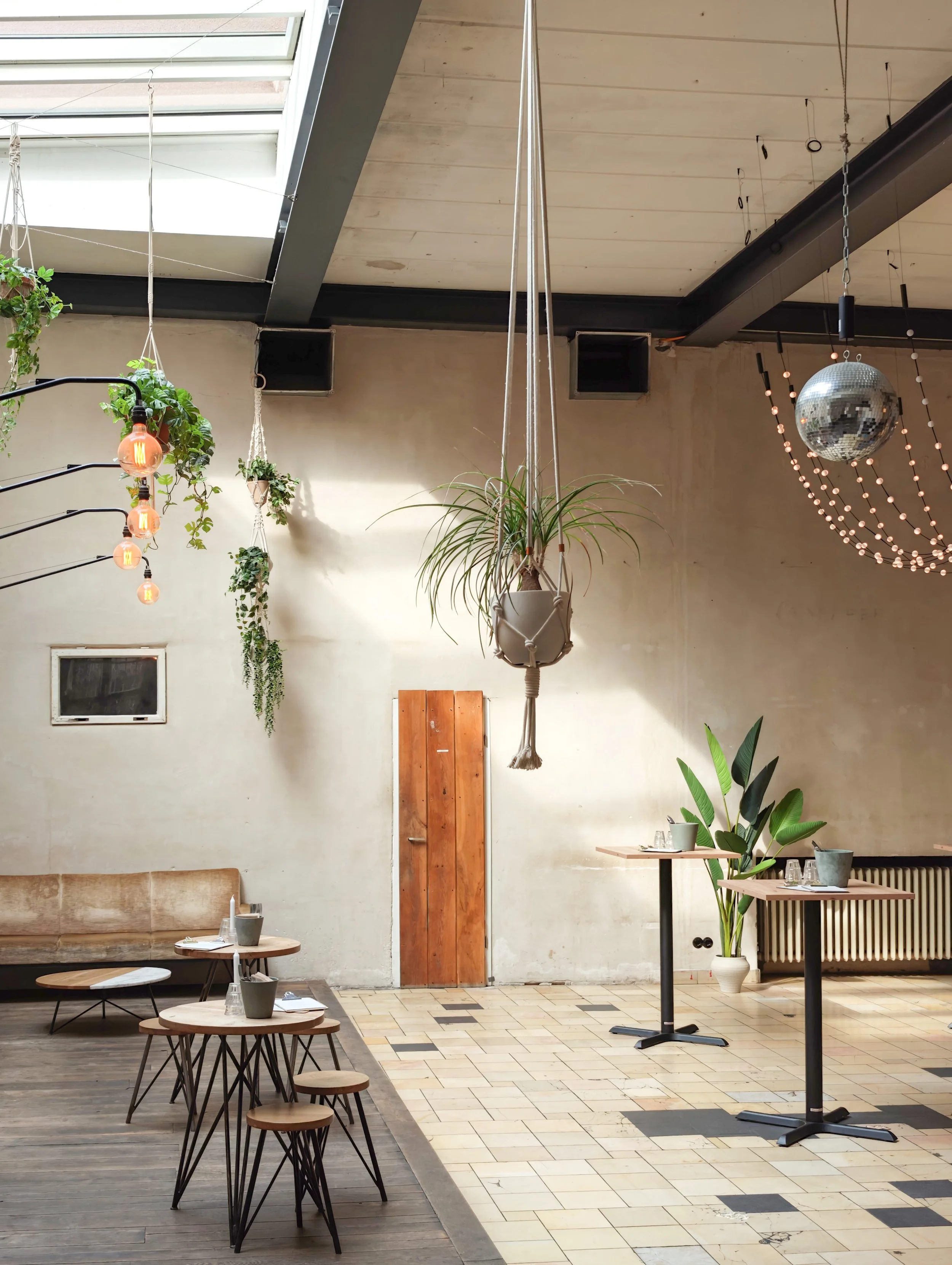 Interior of a modern cafe or restaurant with hanging plants, a disco ball, and tables with glasses and cups, illuminated by natural light from a skylight.