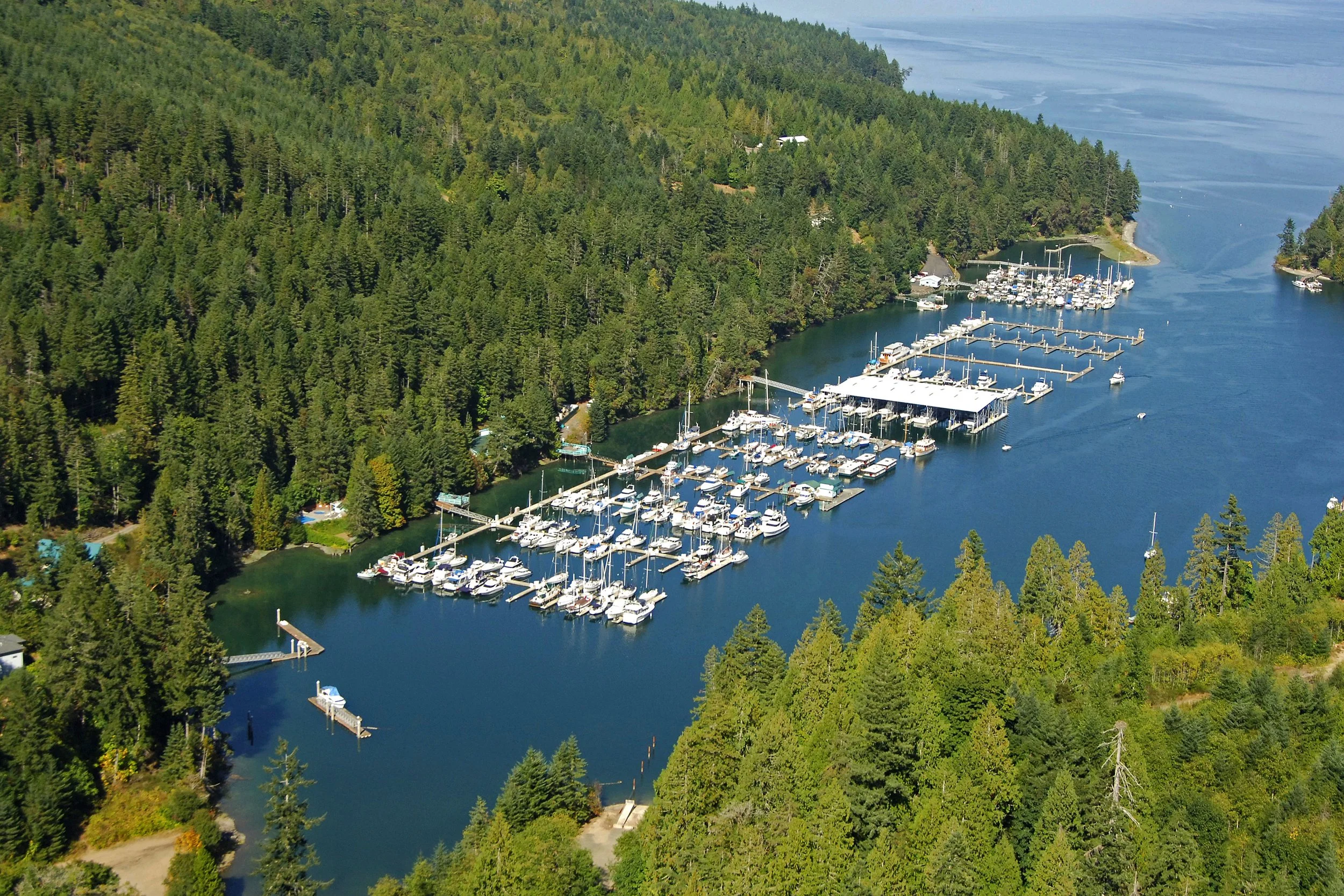 Living in Brinnon, Washington: The Hood Canal Lifestyle Most People Have Never Heard Of