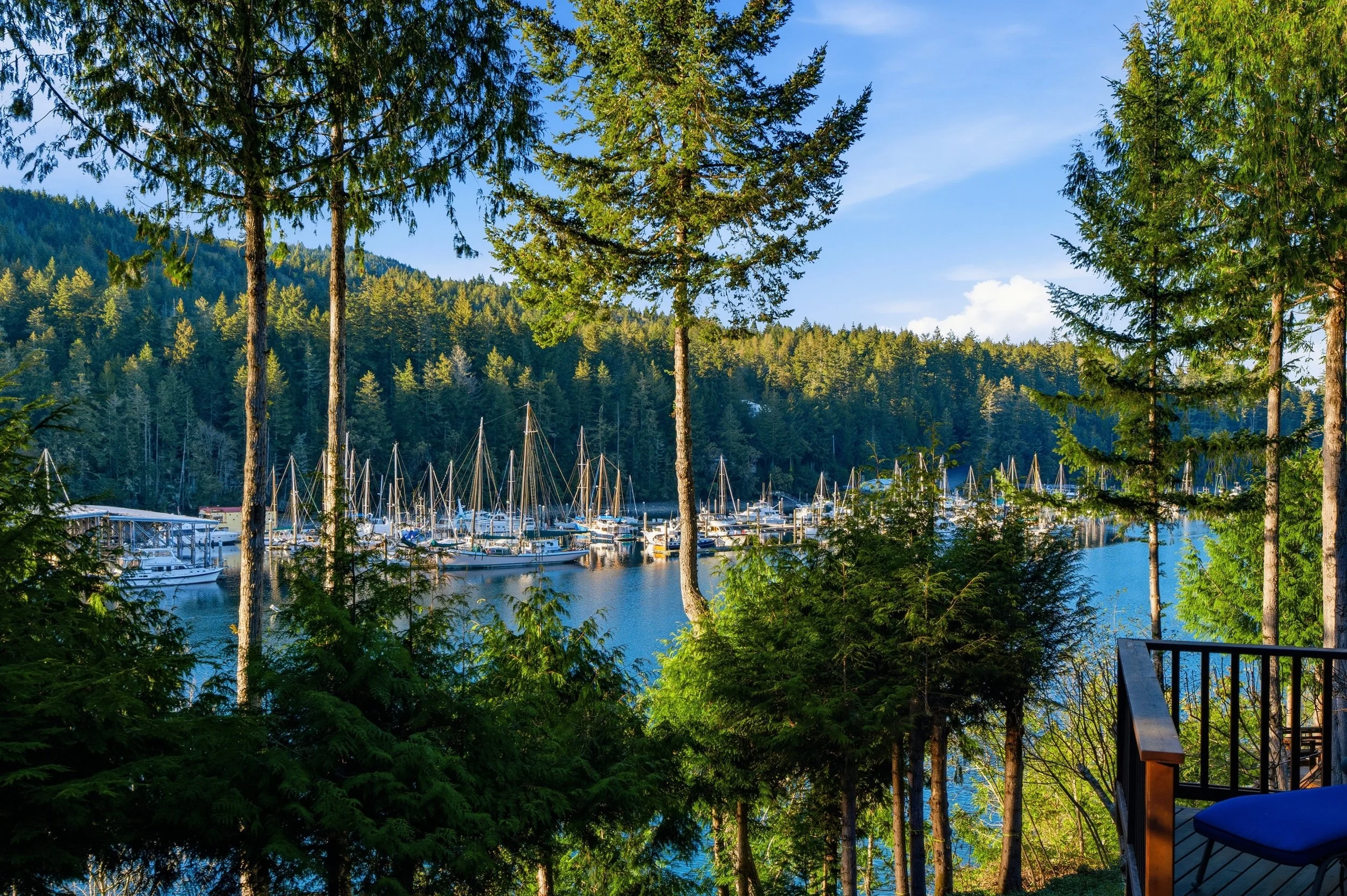 A scenic view of a marina with sailboats docked on calm water, surrounded by lush evergreen trees and forested hills under a blue sky with some clouds.