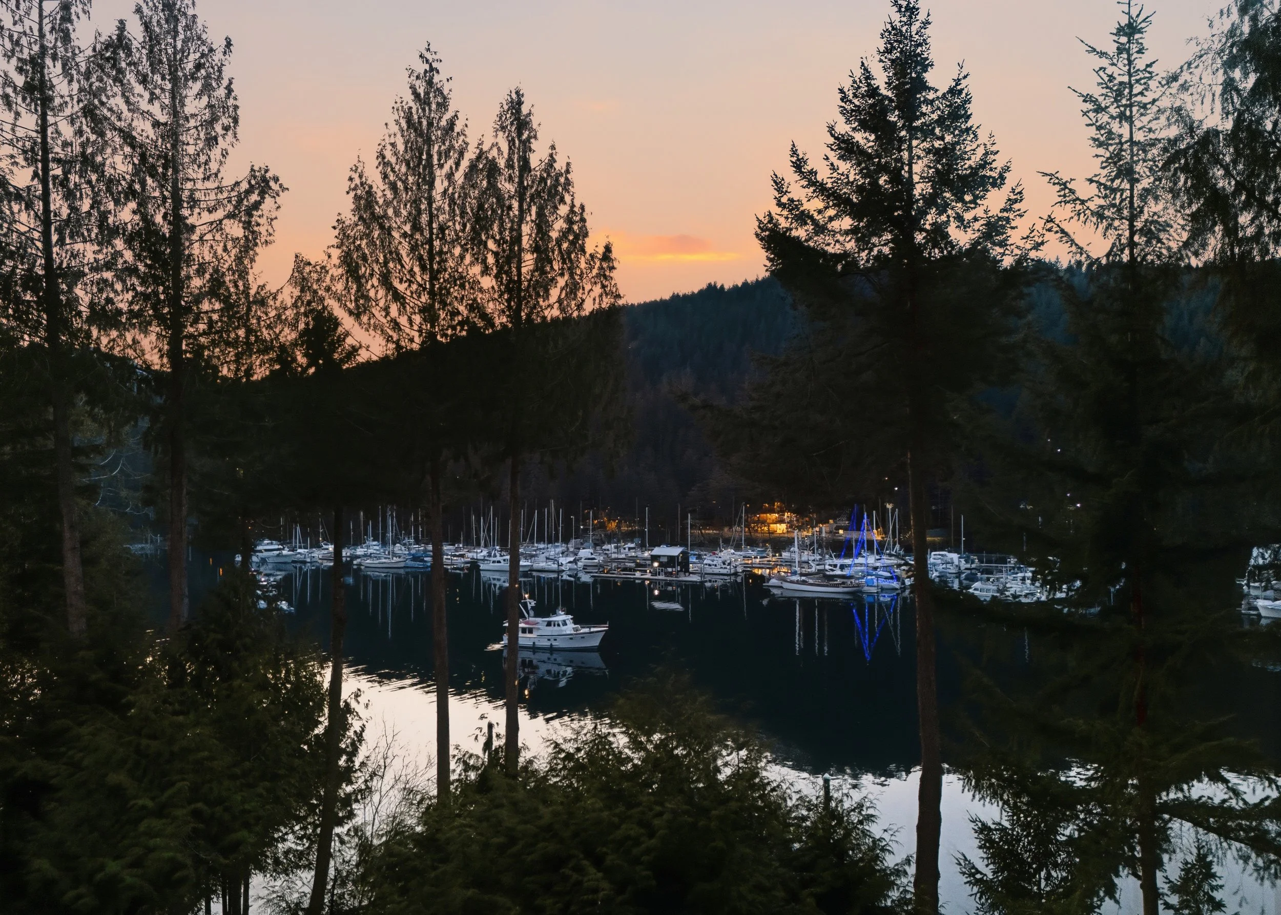 A marina filled with sailboats and yachts is surrounded by tall pine trees, with a mountain backdrop and a sunset sky.