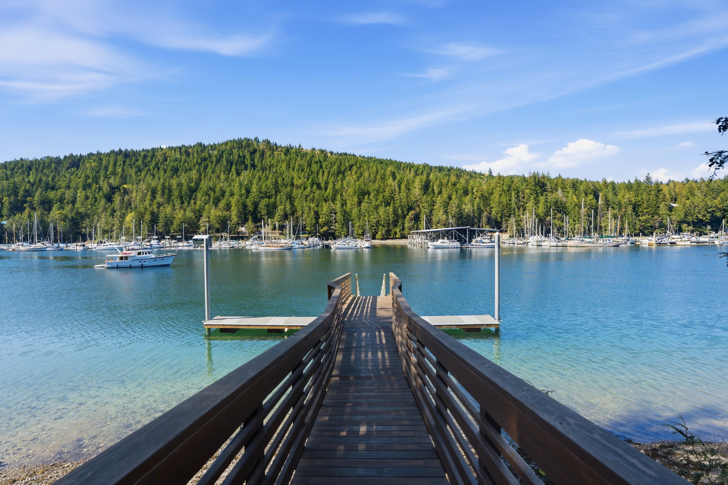 Wooden dock extending into a calm body of water, with sailboats and yachts moored on the opposite shore and a forested hill in the background under a blue sky.