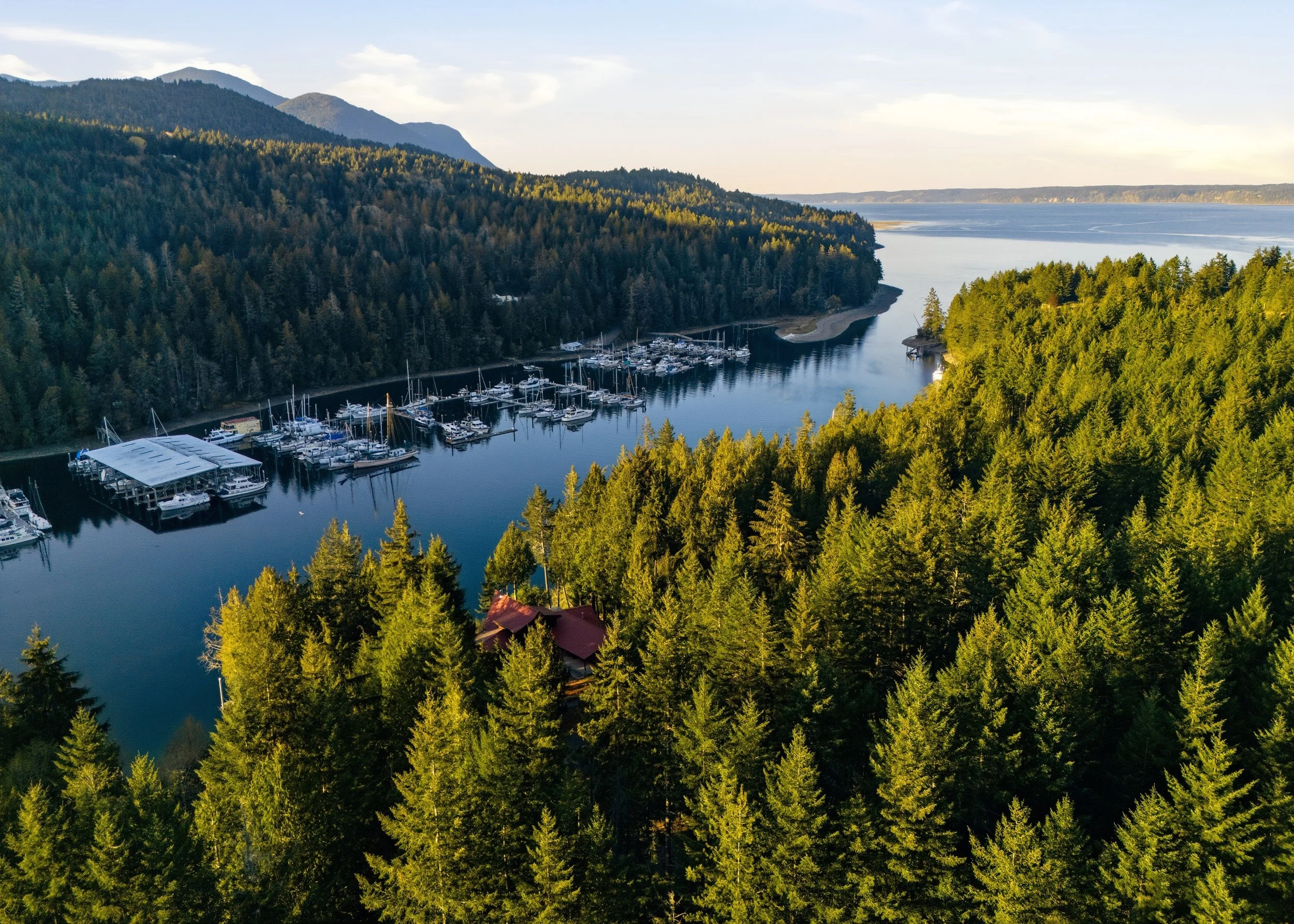 Aerial view of a marina with boats docked along a waterway surrounded by dense green forest and mountains in the background.