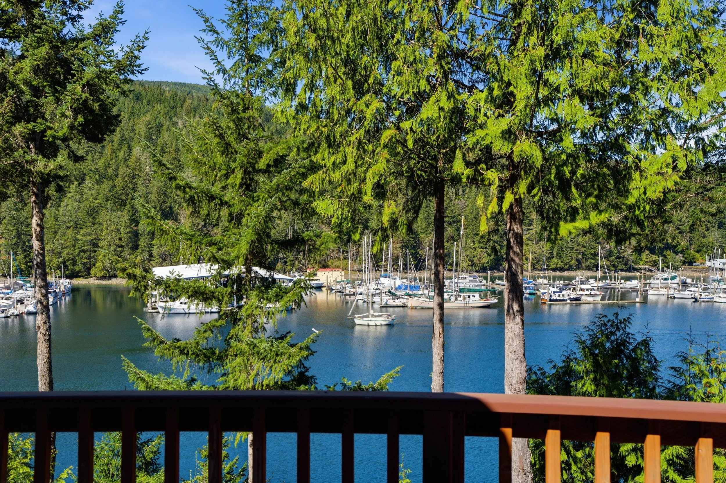 View of a marina with boats docked on a calm water body, framed by lush evergreen trees and a wooden railing in the foreground, against a background of green hills under a blue sky.