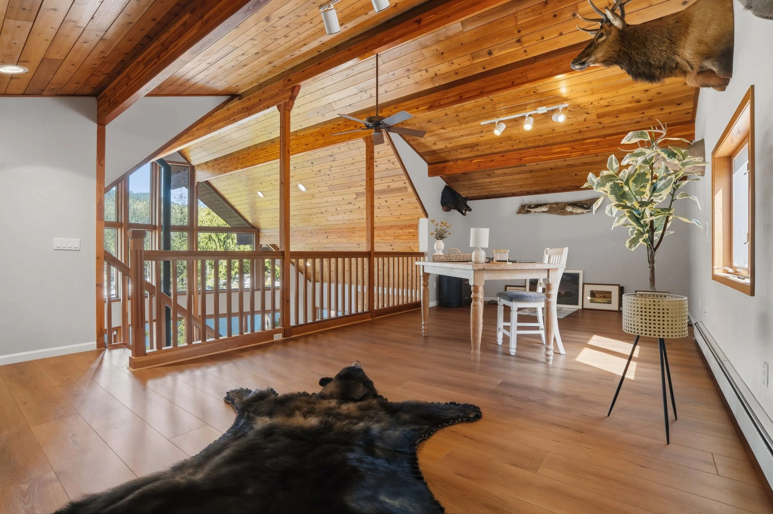Interior of a room with wooden ceiling and floor, decorative animal mounts on the wall, a window letting in natural light, a white table with chairs, a large potted plant, a floor lamp, and a bear hide on the floor.