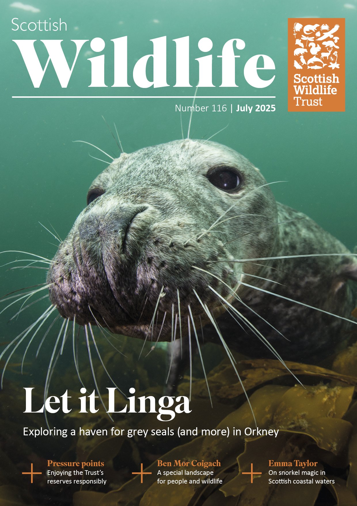 01 SWT_Summer_2025_Cover (1).jpg