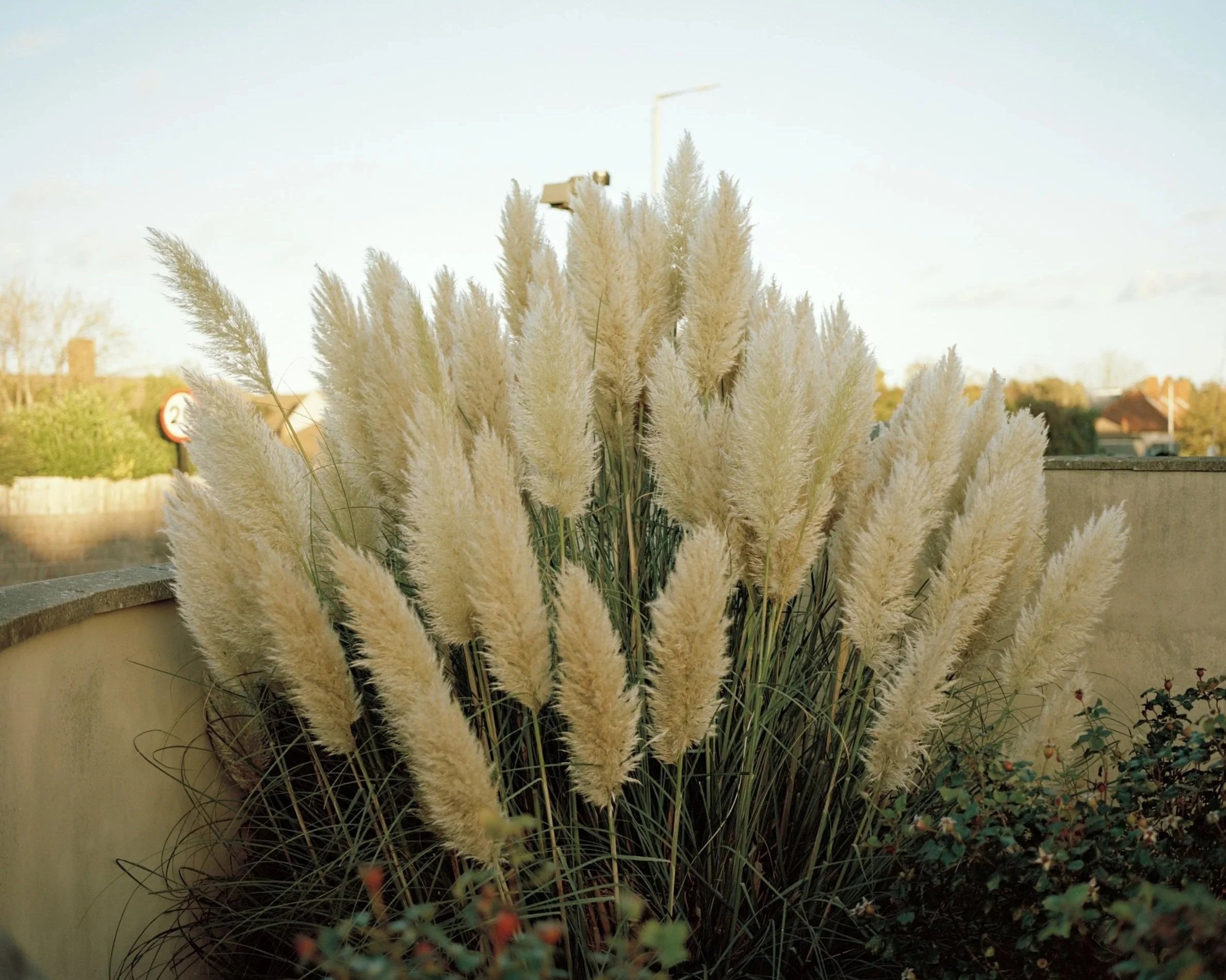 'Untitled, Jamie Ball'

@jamieball.photos