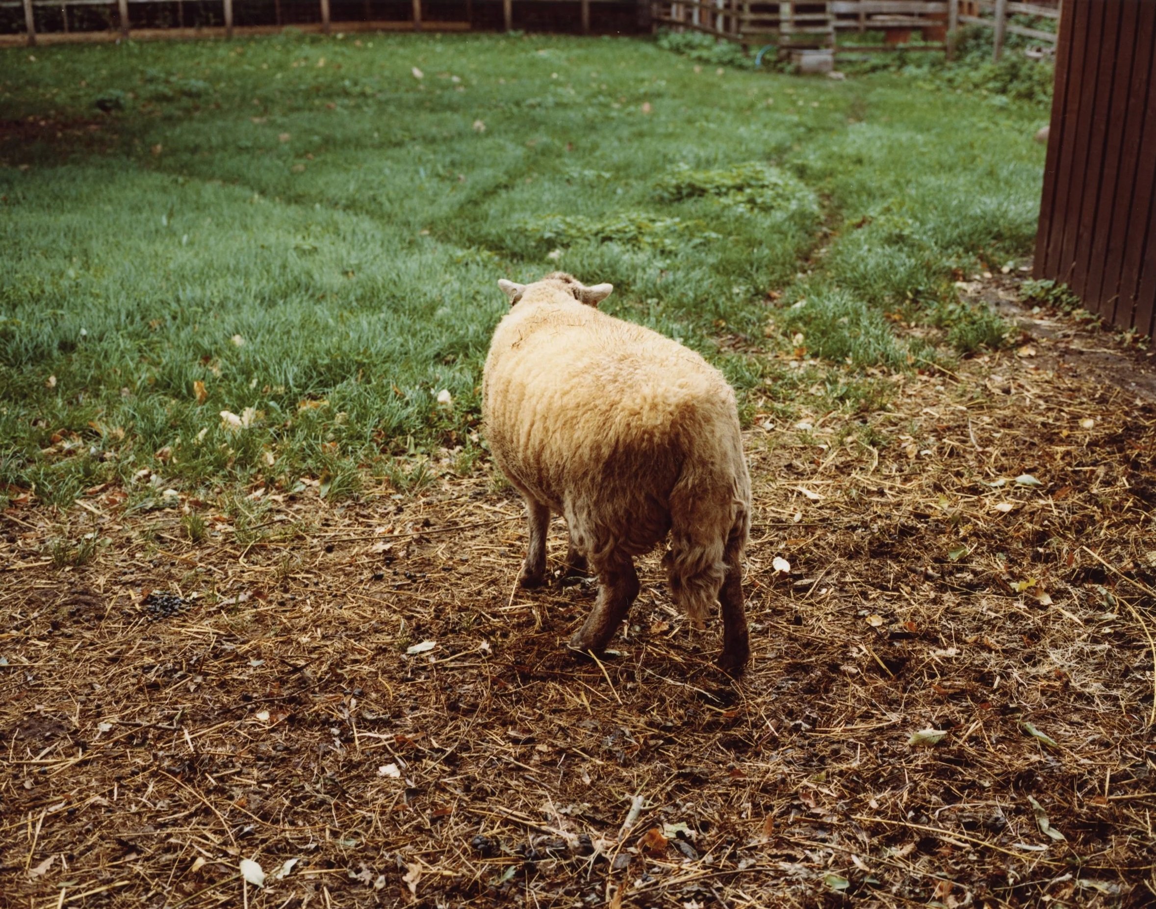 'Untitled', Blake Goold

@blakegoooold