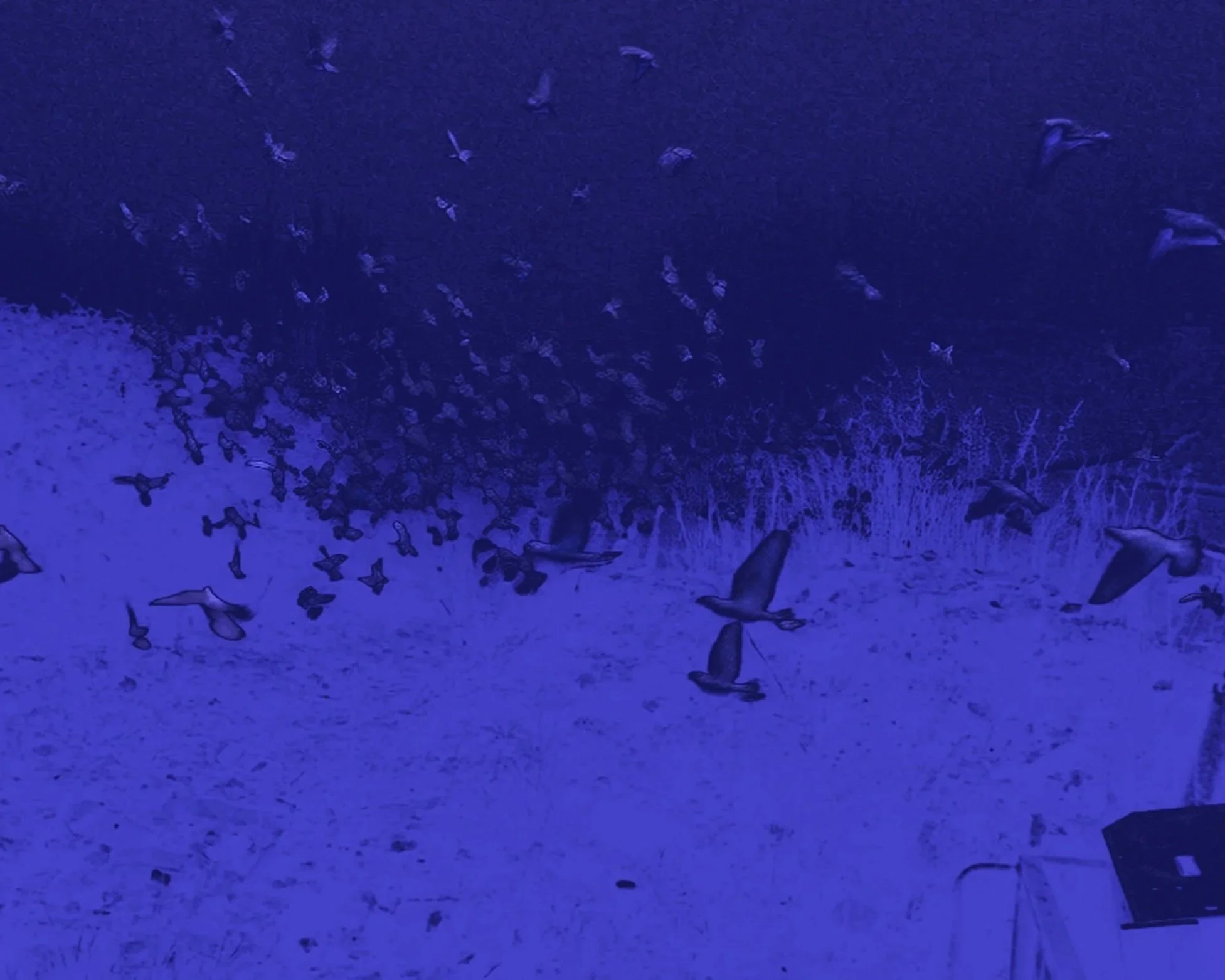 'The Last Thoughts Of Stockton Rush', Luca Lawson

@luca_lawson