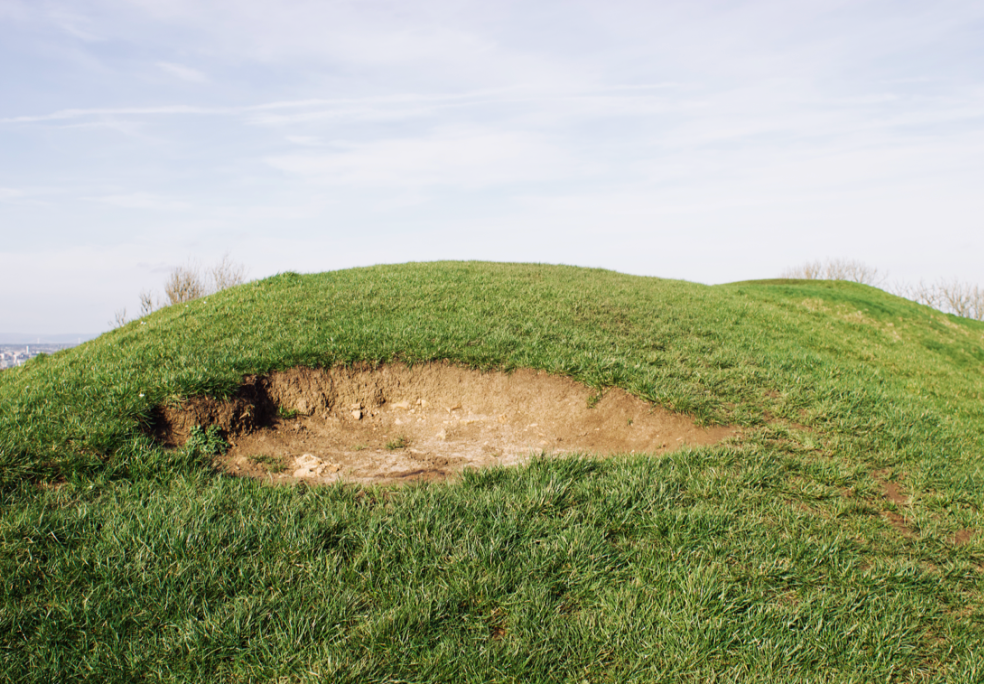 'DoBunni Hill', Olivia O’Connor

@oliviaoconnor.jpg