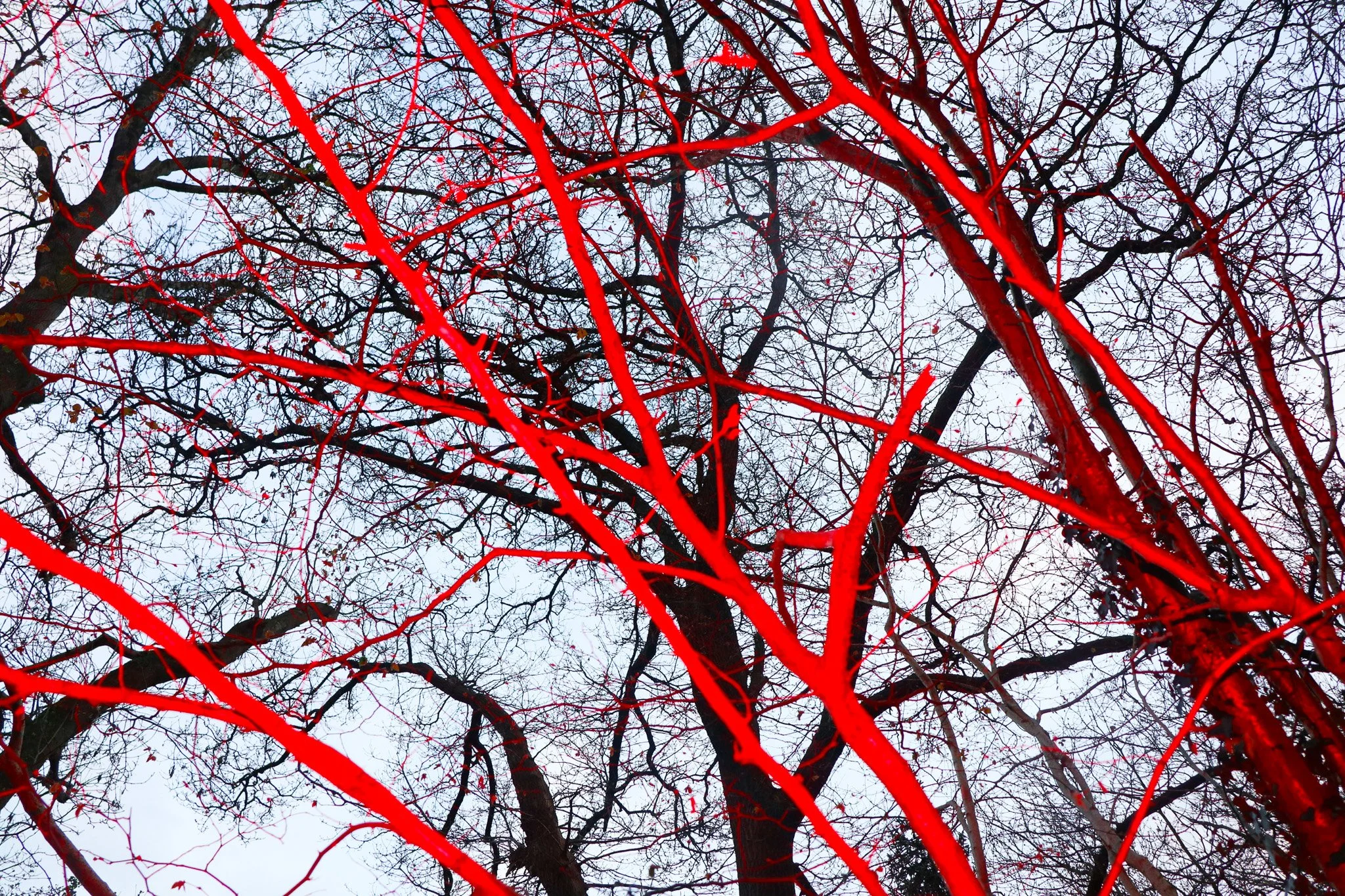 'Runs Deep', Ella Hemsworth

@hemsphoto_