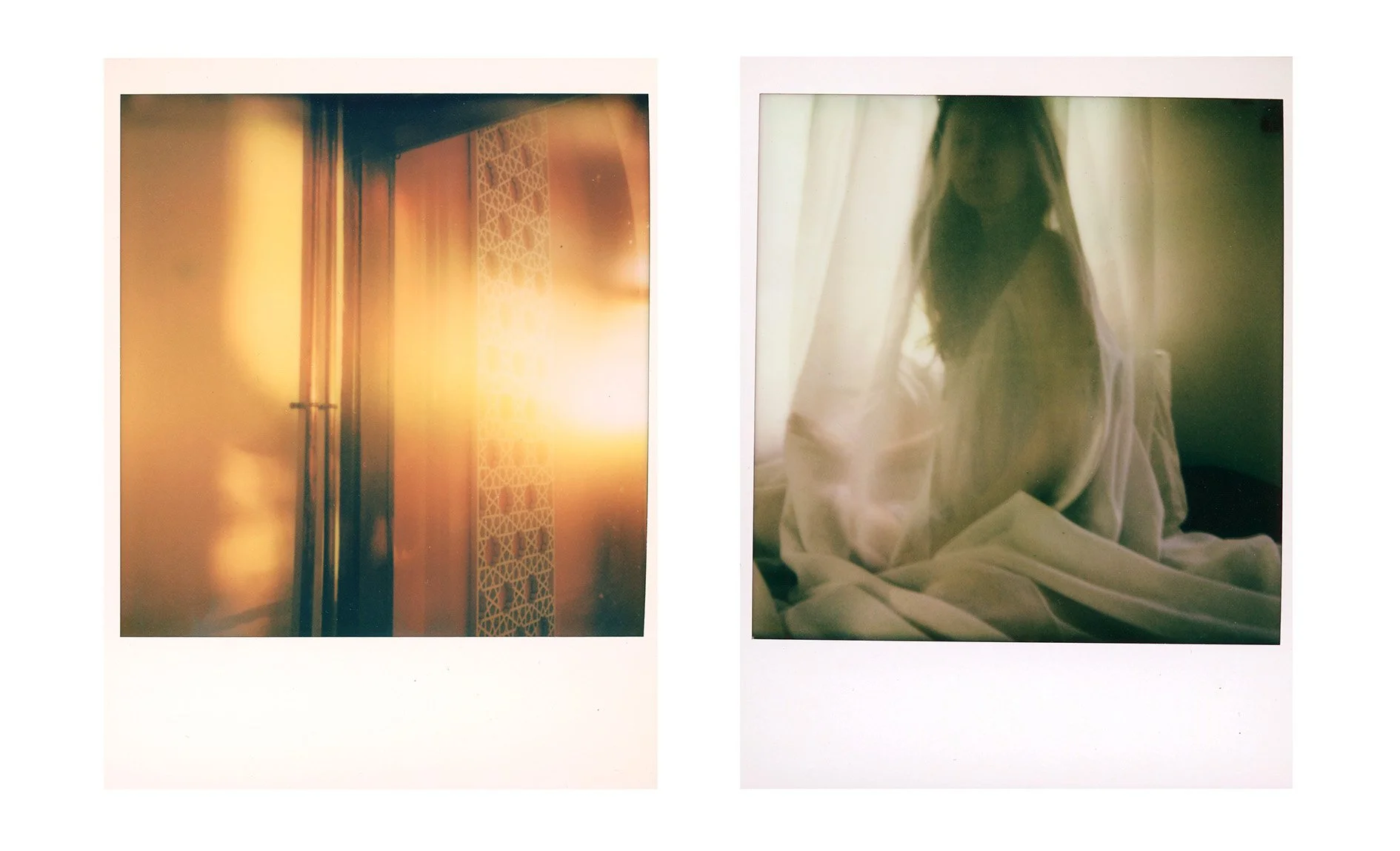 'Changing Trees', Yasmin Lavik

@yasminlavikphoto