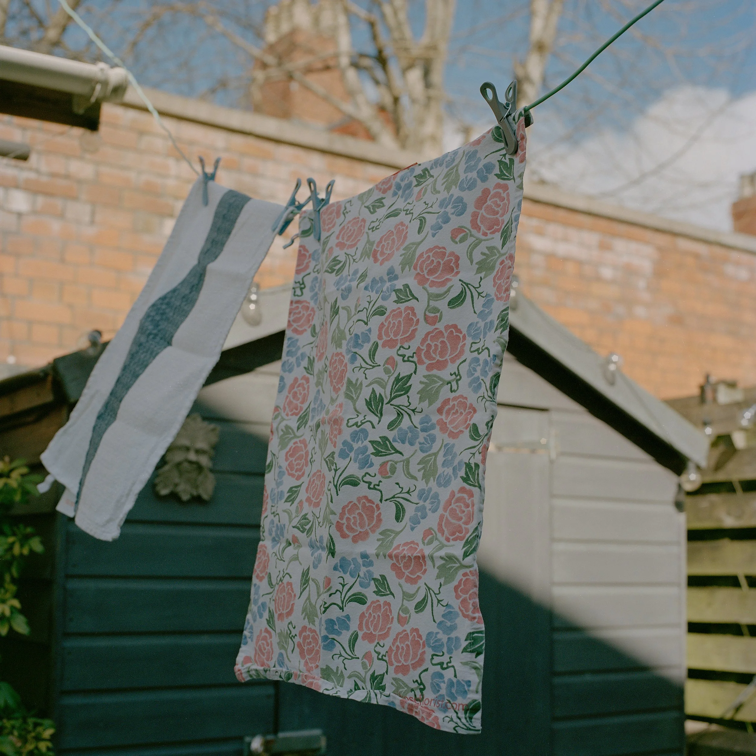 'Something Good in Everyday', Scarlett Simms 

@scarlettsimmsphotography