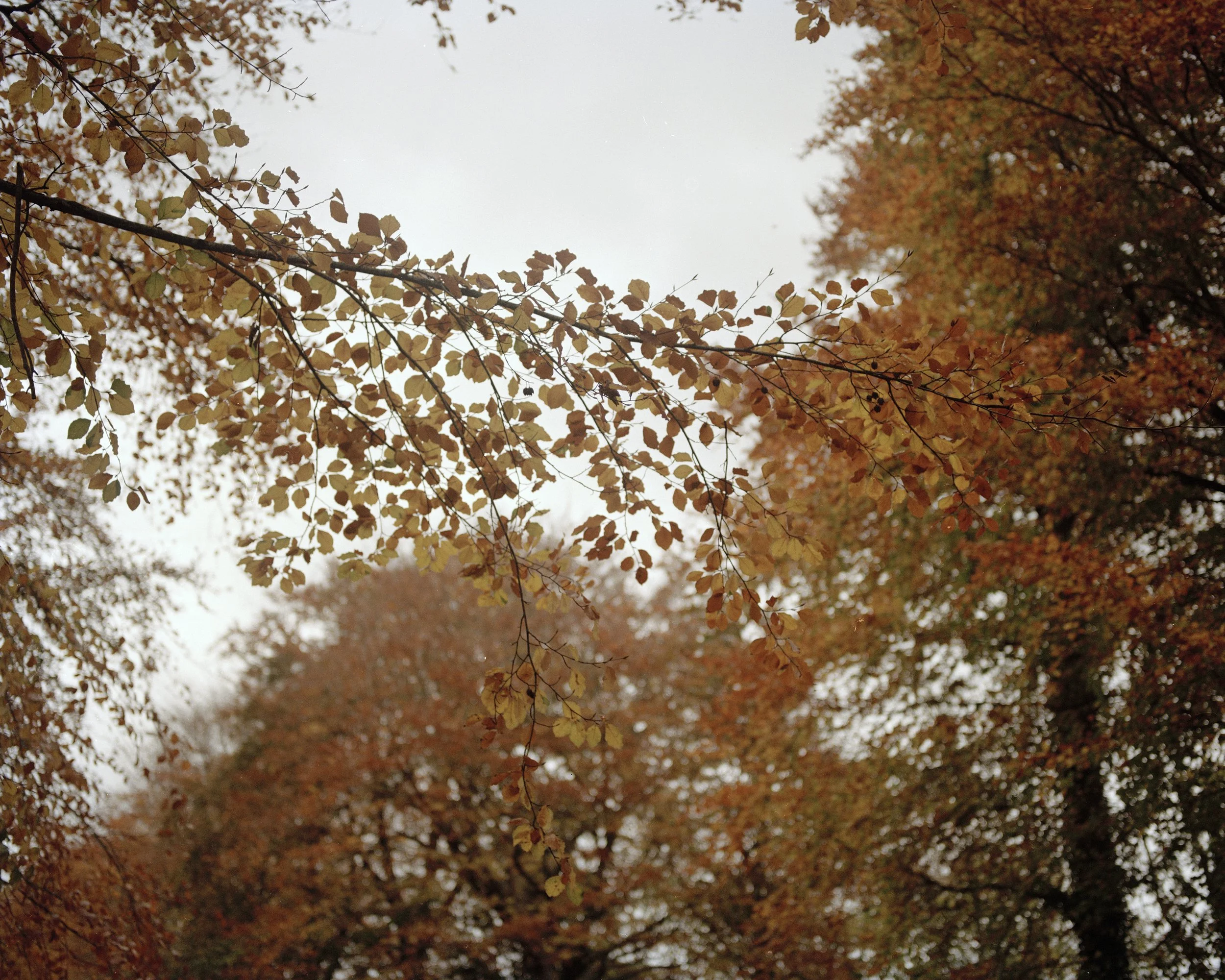 'In His Footsteps, Andrew Roberts'

@andrewroberts.photography