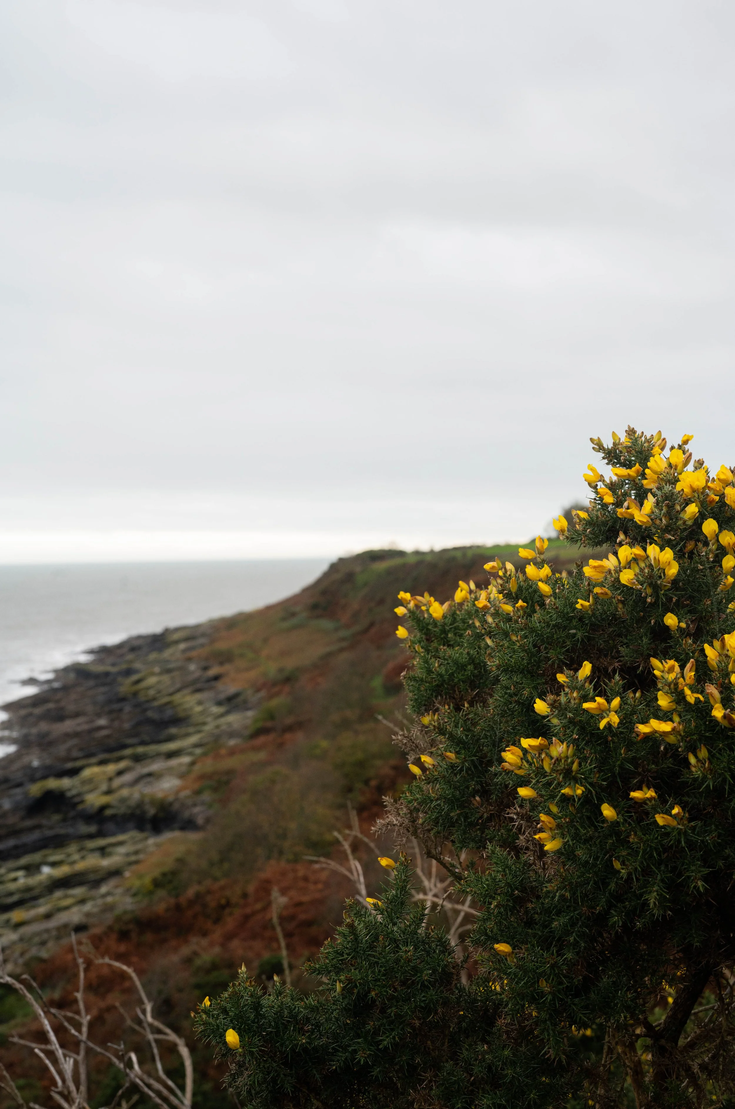 'Untitled', Leah Cromie

@leahs.foto