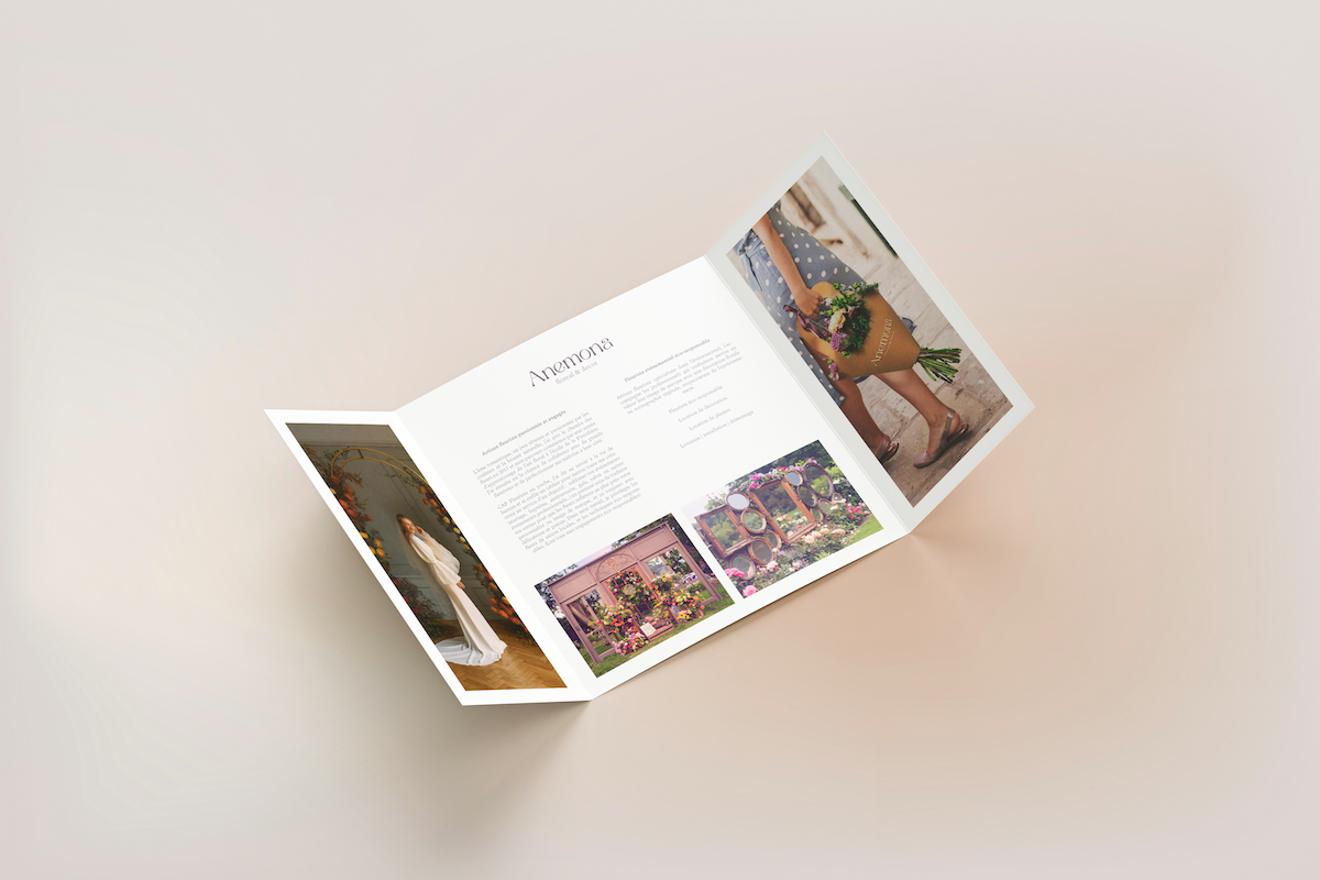 Anemona mockup 2.png