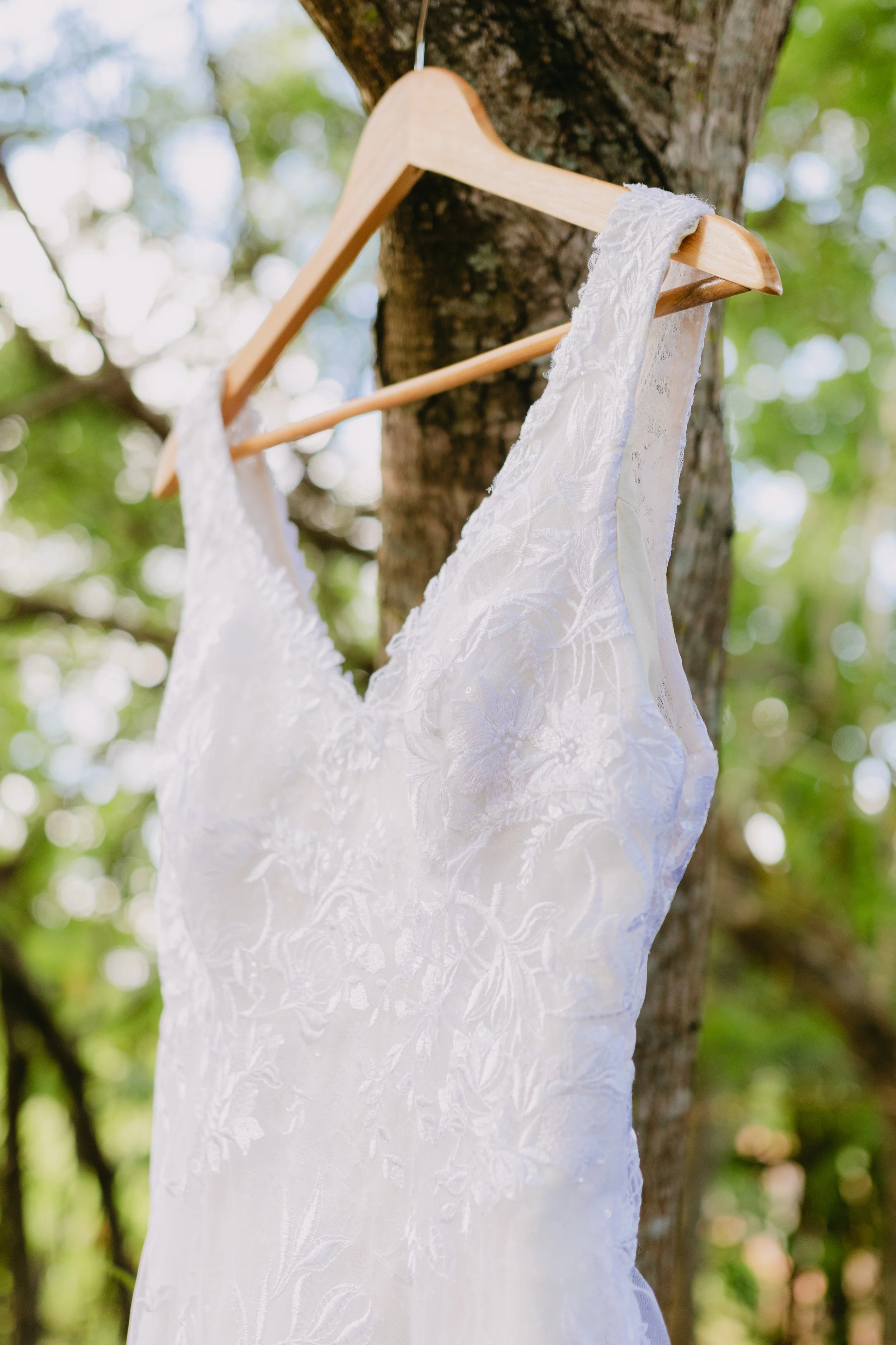 Vestido de novia colgado en una rama de árbol, en un entorno de naturaleza con hojas verdes y luz solar.