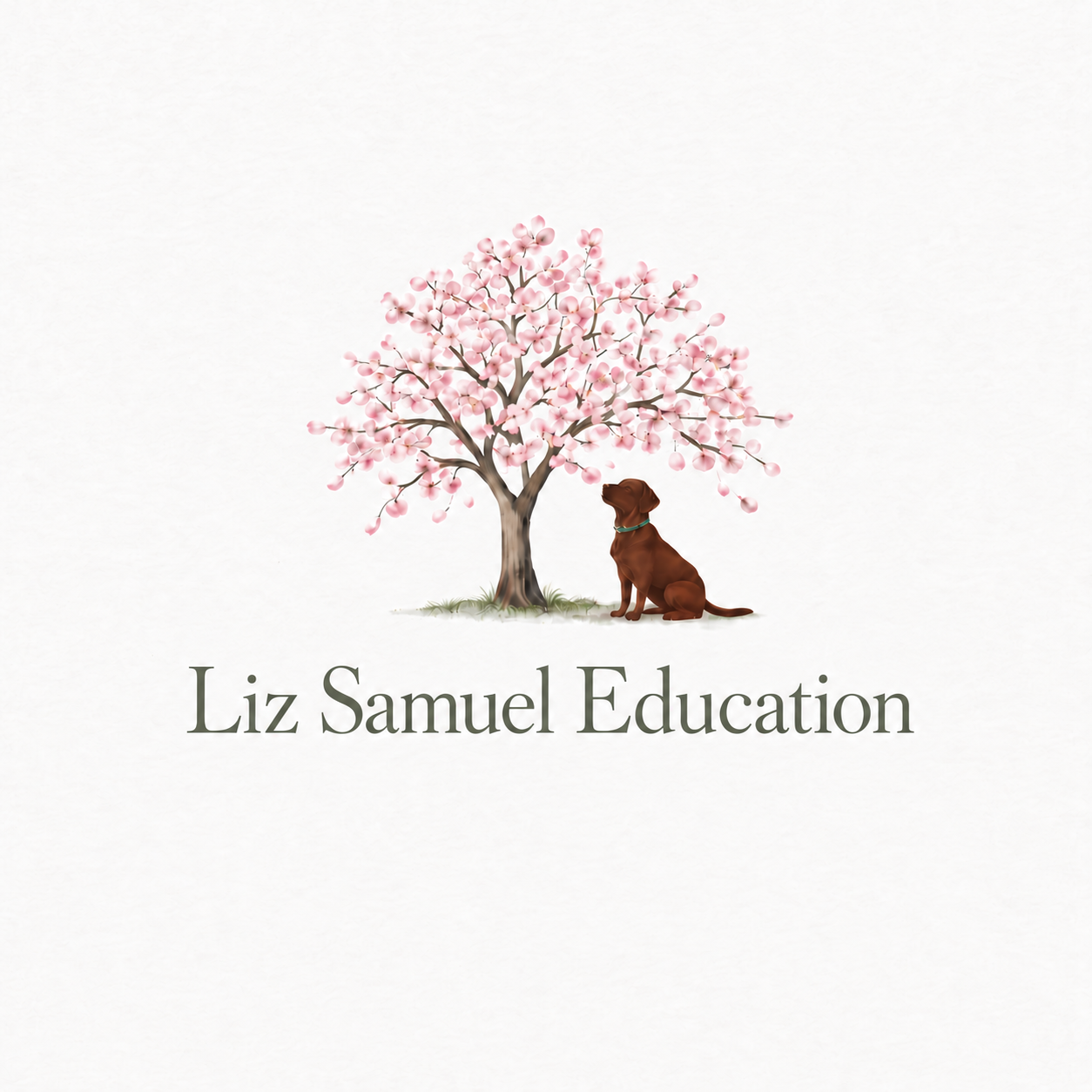 Liz Samuel Education