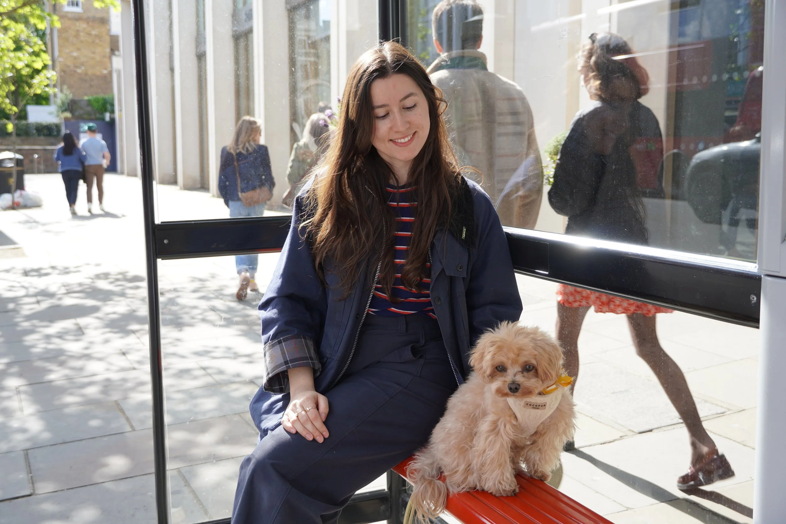 London dog learning to confidently take public transport