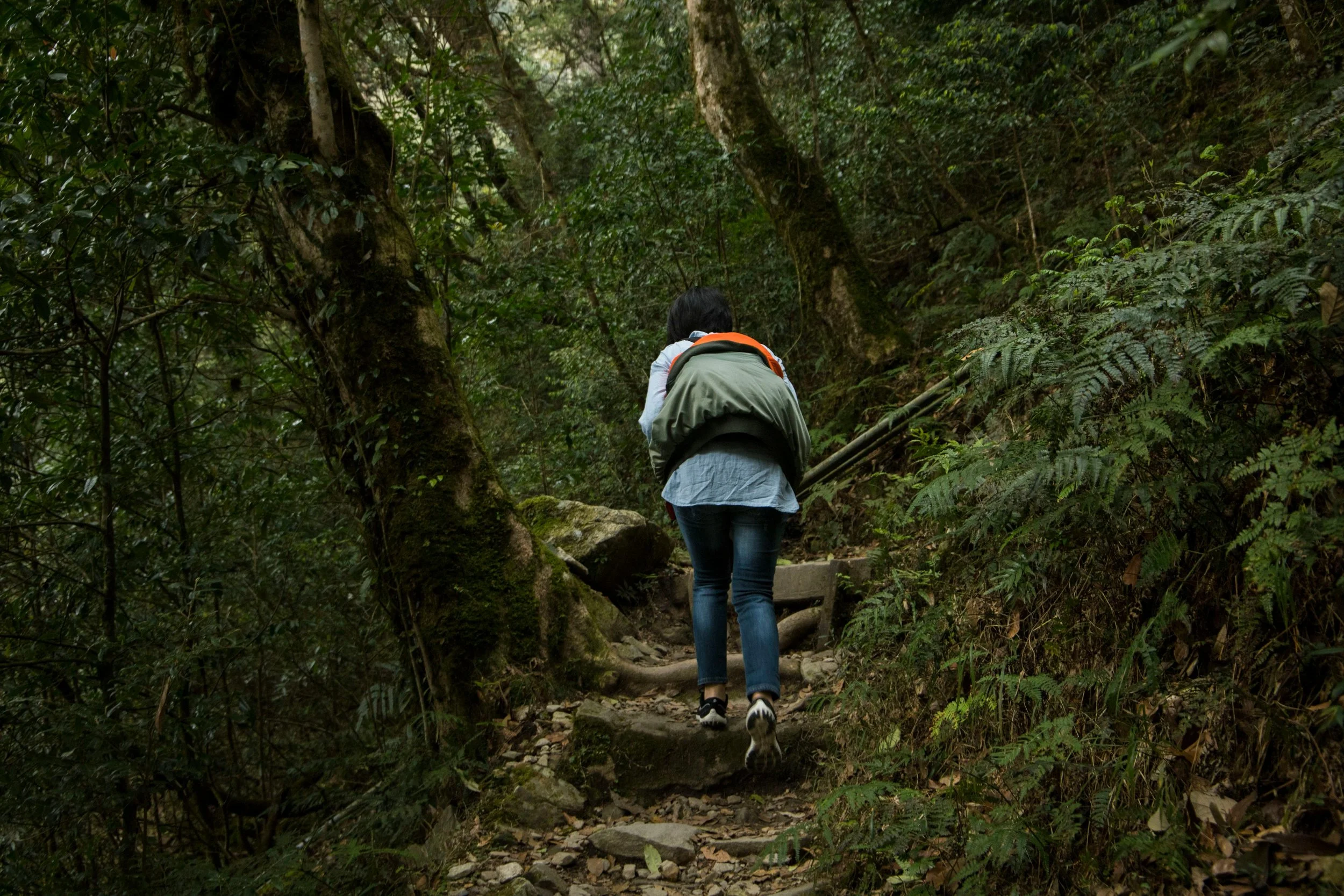 Person hiking on a forest trail surrounded by dense greenery.