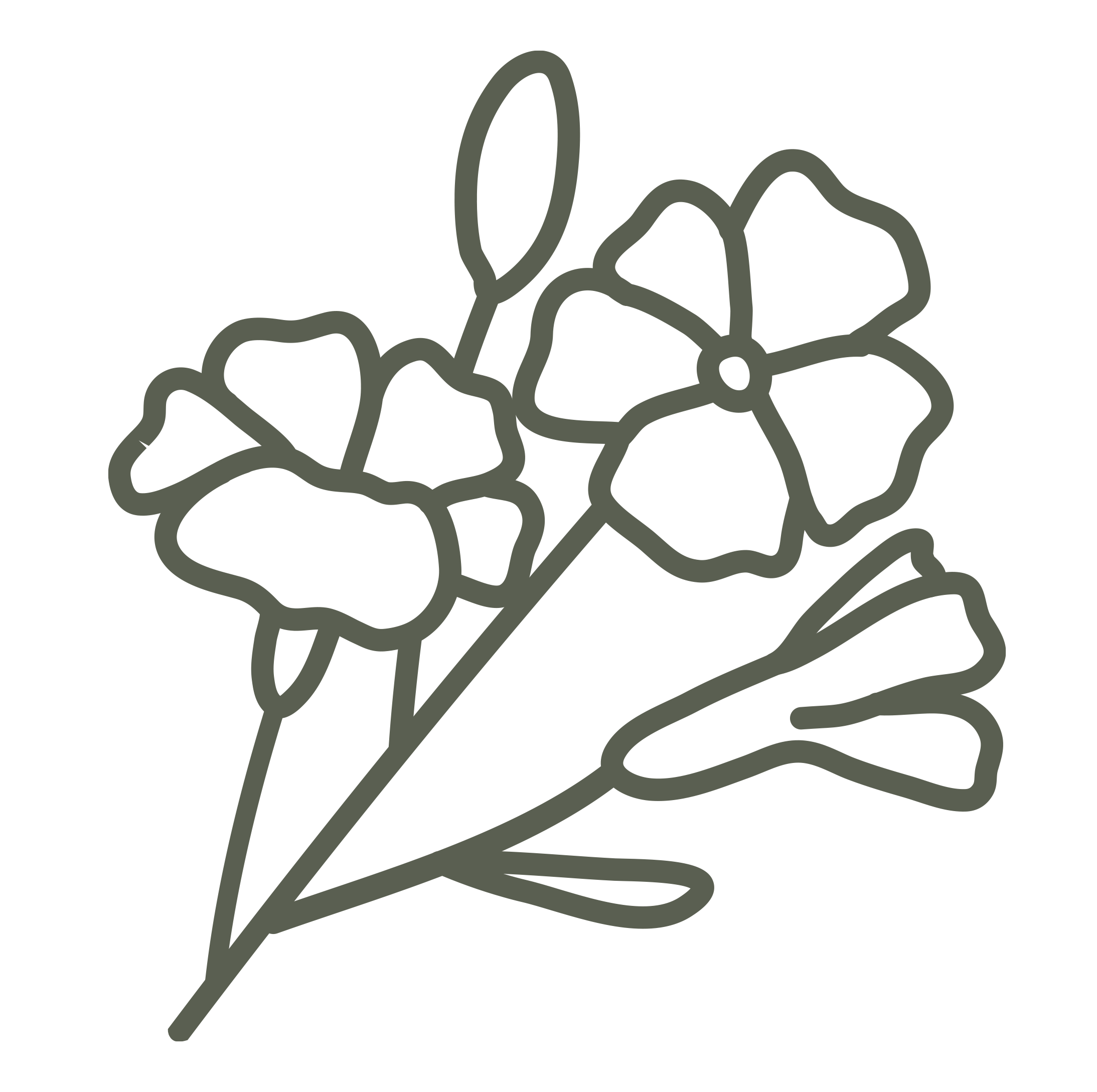 Illustration of a beige plant with elongated leaves on a black background.