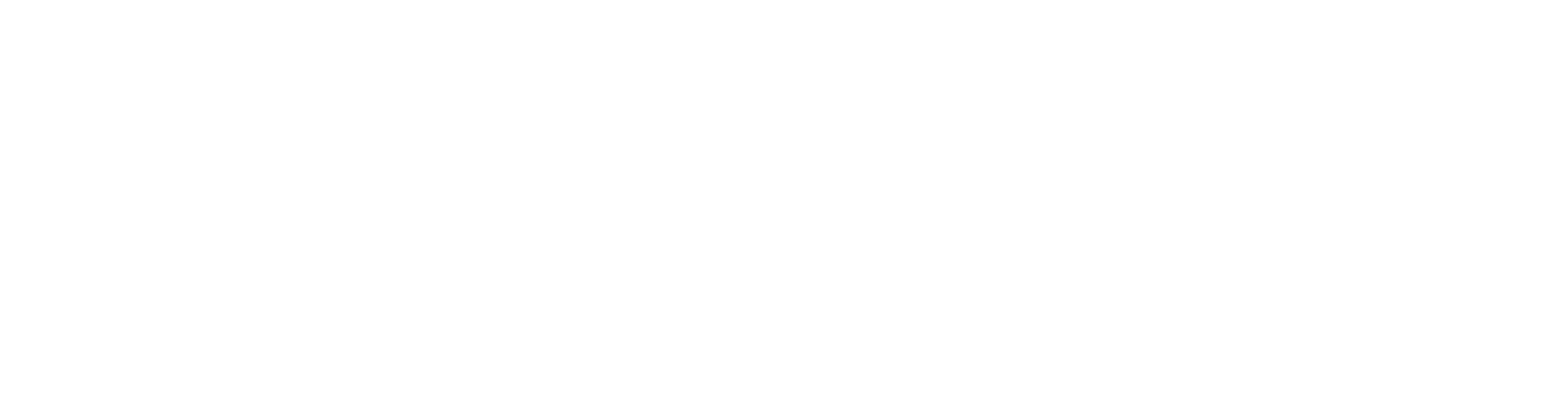 White floral border with small flowers and leaves on a black background.