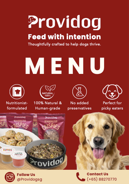 Providog Event Menu A4_JULY2026 (meals, mb, crispies, IC) (dragged).png