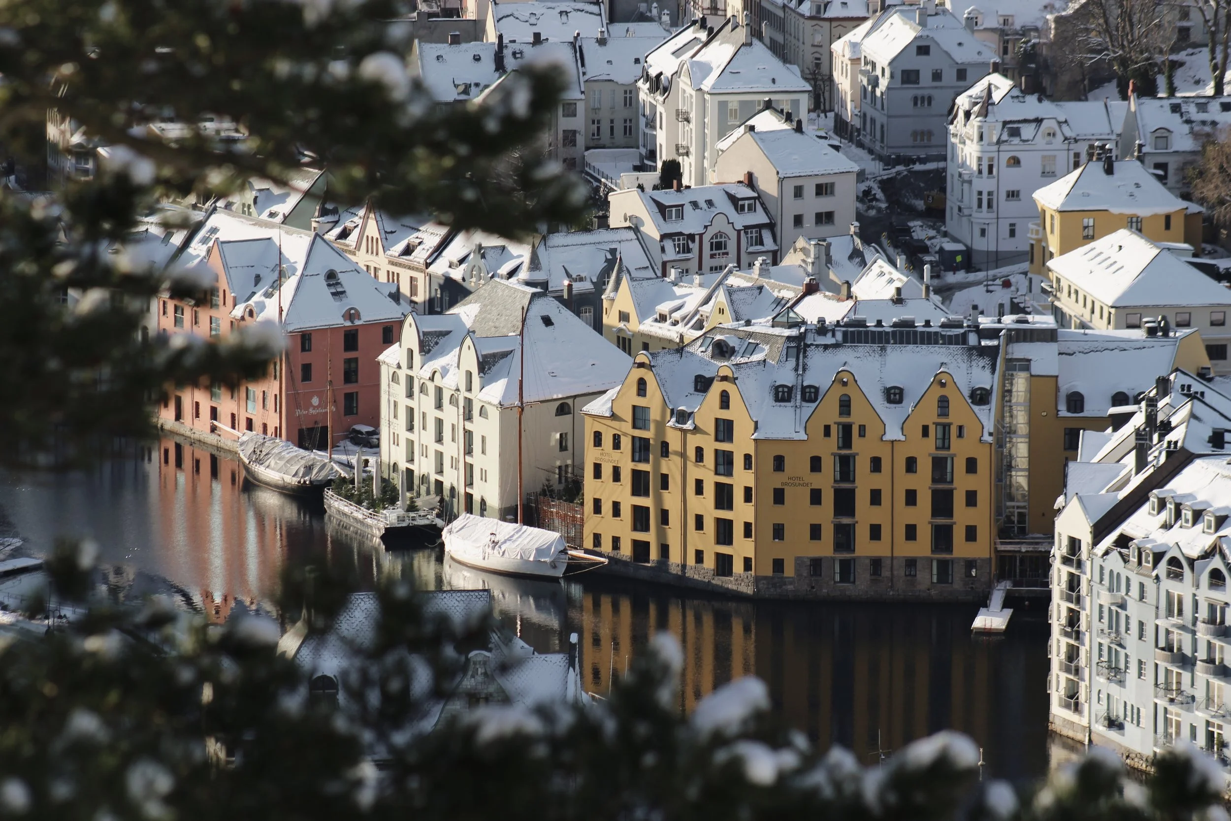 Snødekte fargerike bygninger langs vann med båter, sett gjennom en gran ved siden av