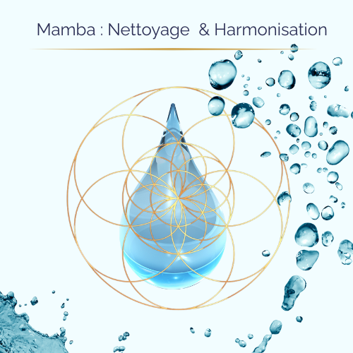 Soin Mamba — Libération des mémoires de l’Eau