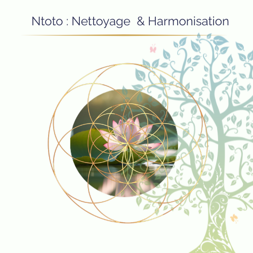Soin Ntonto — Ancrage et rééquilibrage par l’énergie de la Terre