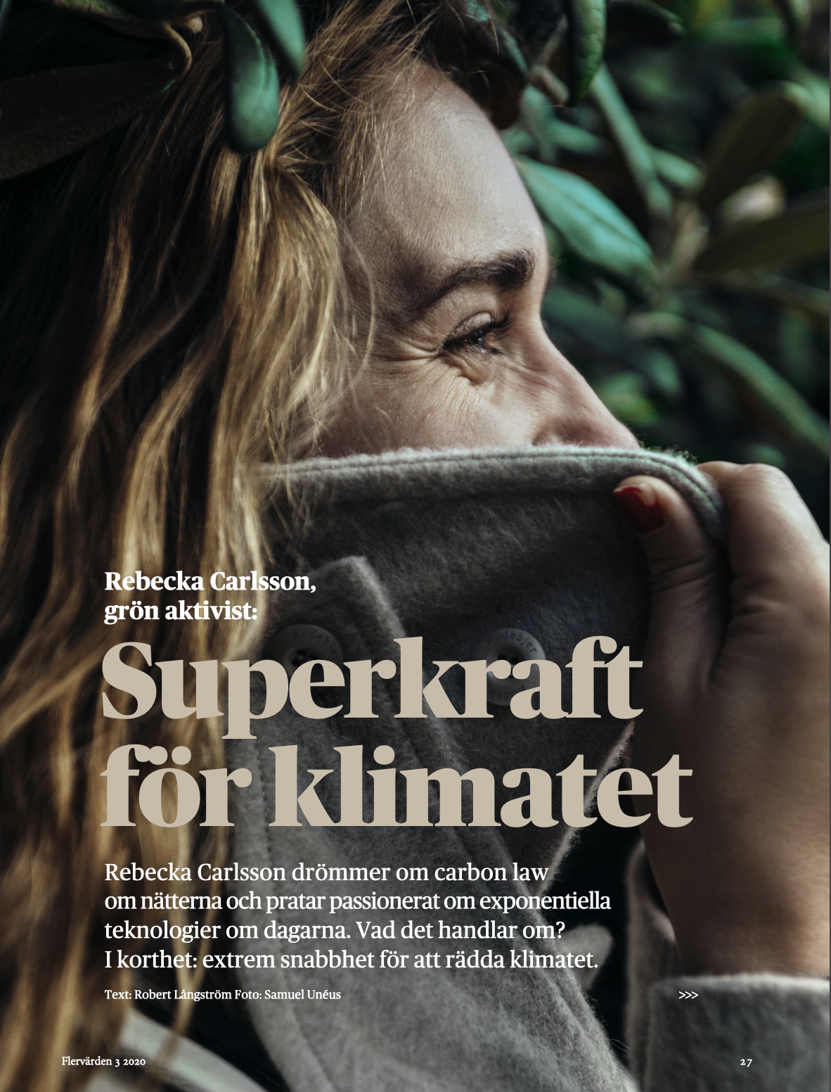 Flervärden 2.png