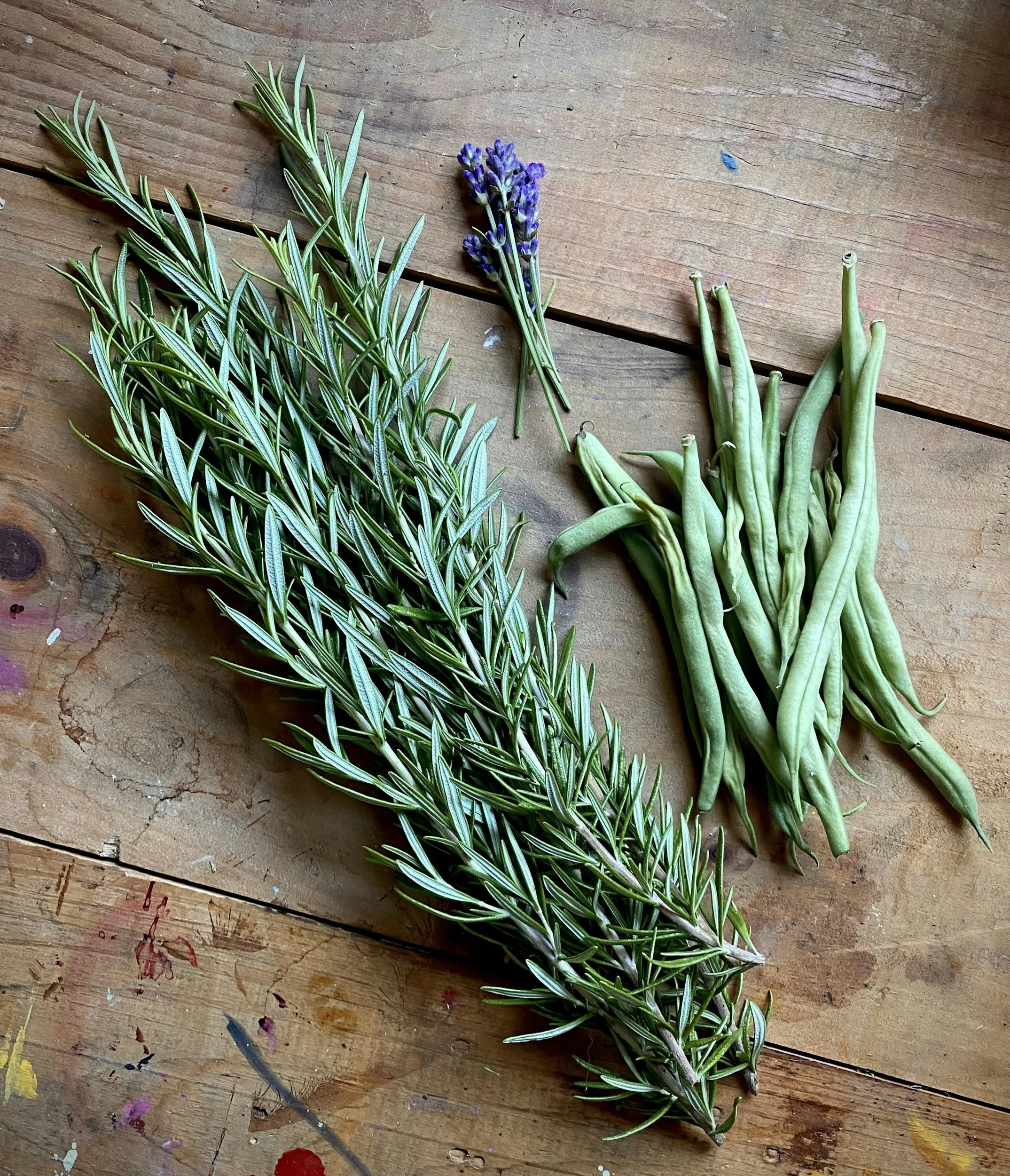 Un ramo de romero fresco y una pequeña porción de lavanda sobre una mesa de madera con manchas de pintura.